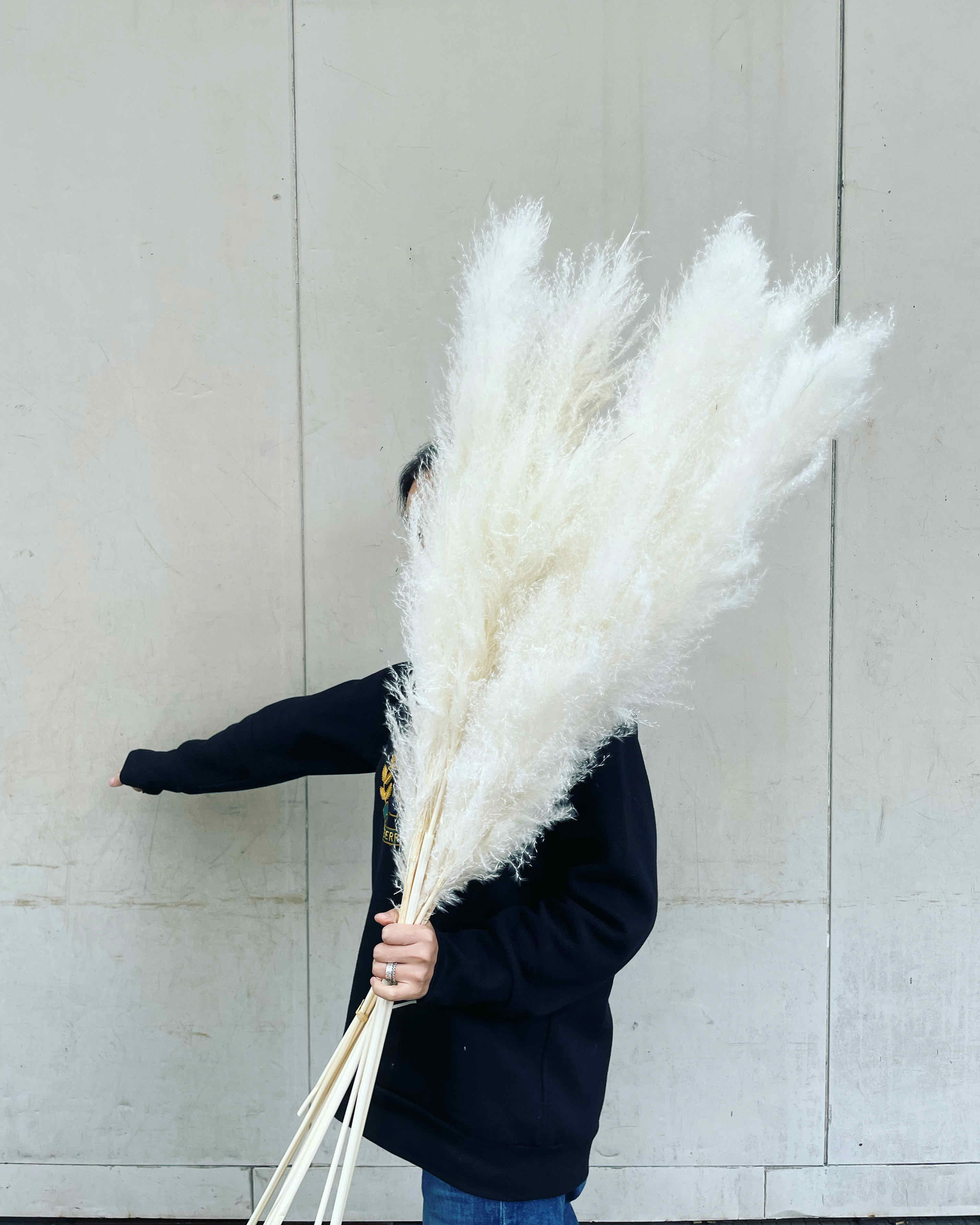 特級蘆葦(日本)