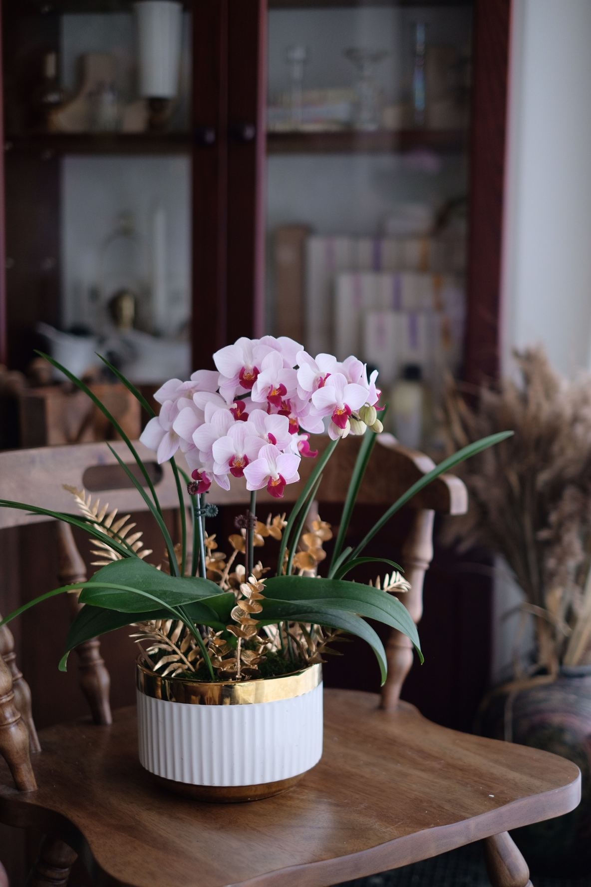 紅心芭樂 M－蘭花盆花