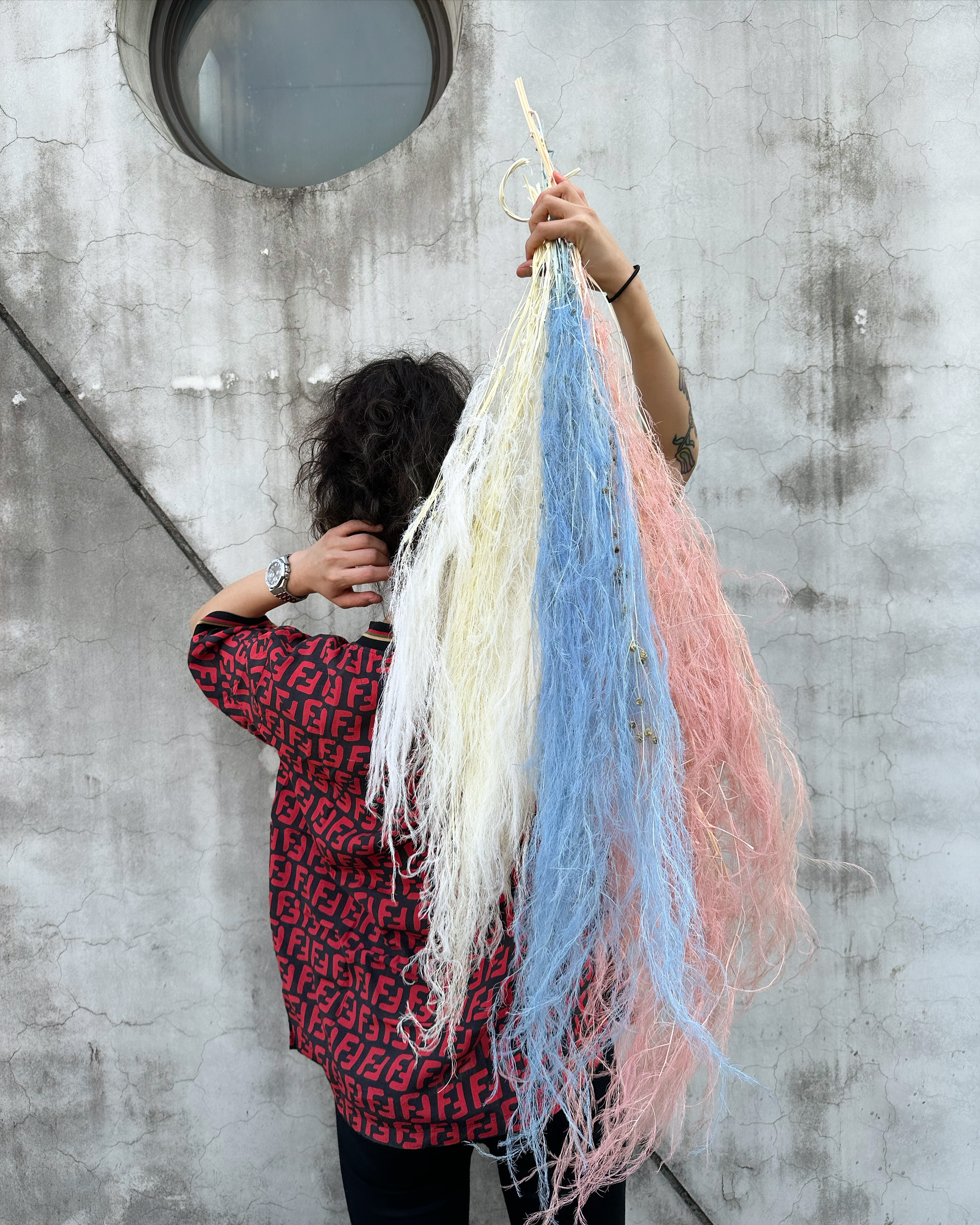 乾燥染色龍鬚草