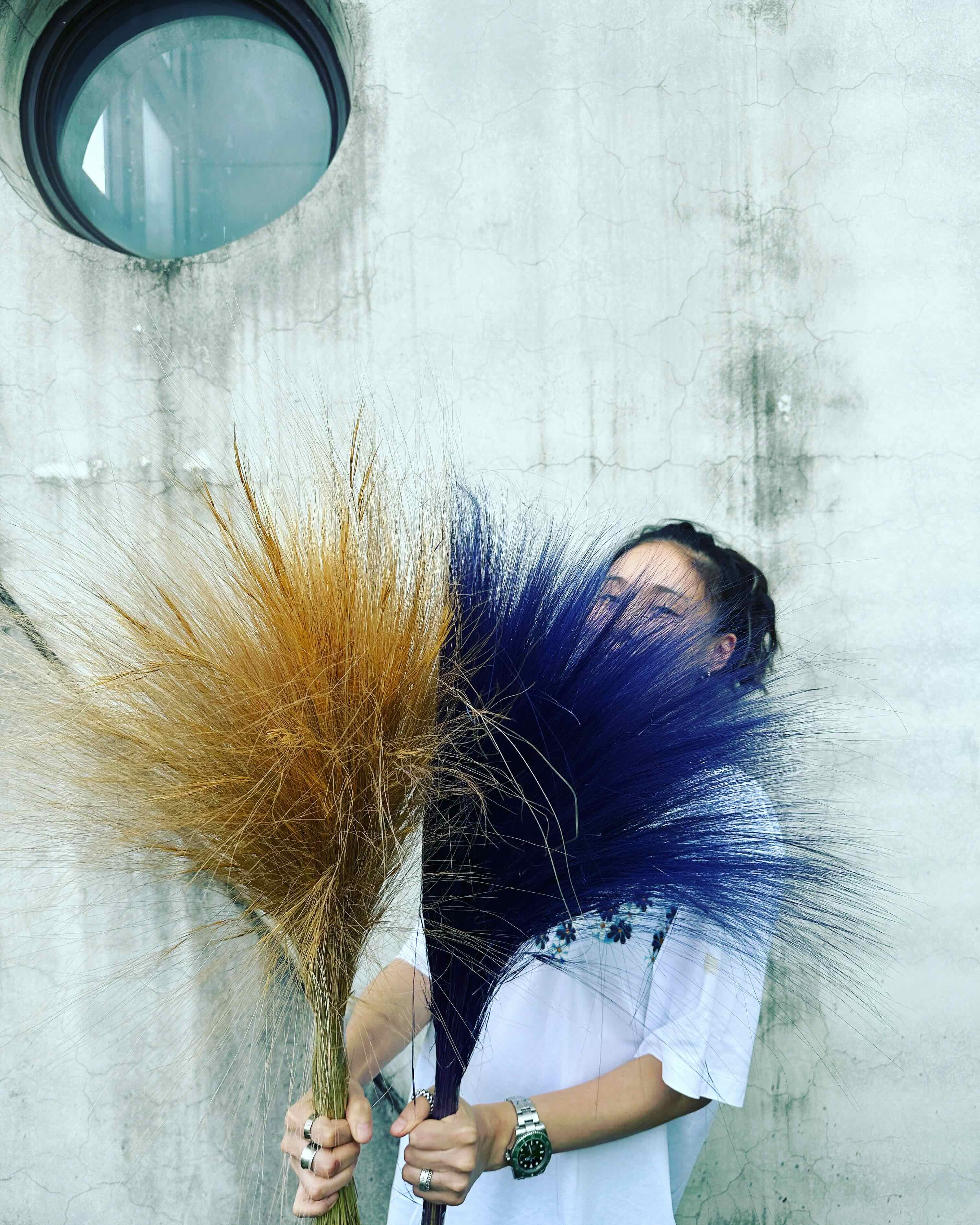 乾燥銀絲草(義大利)