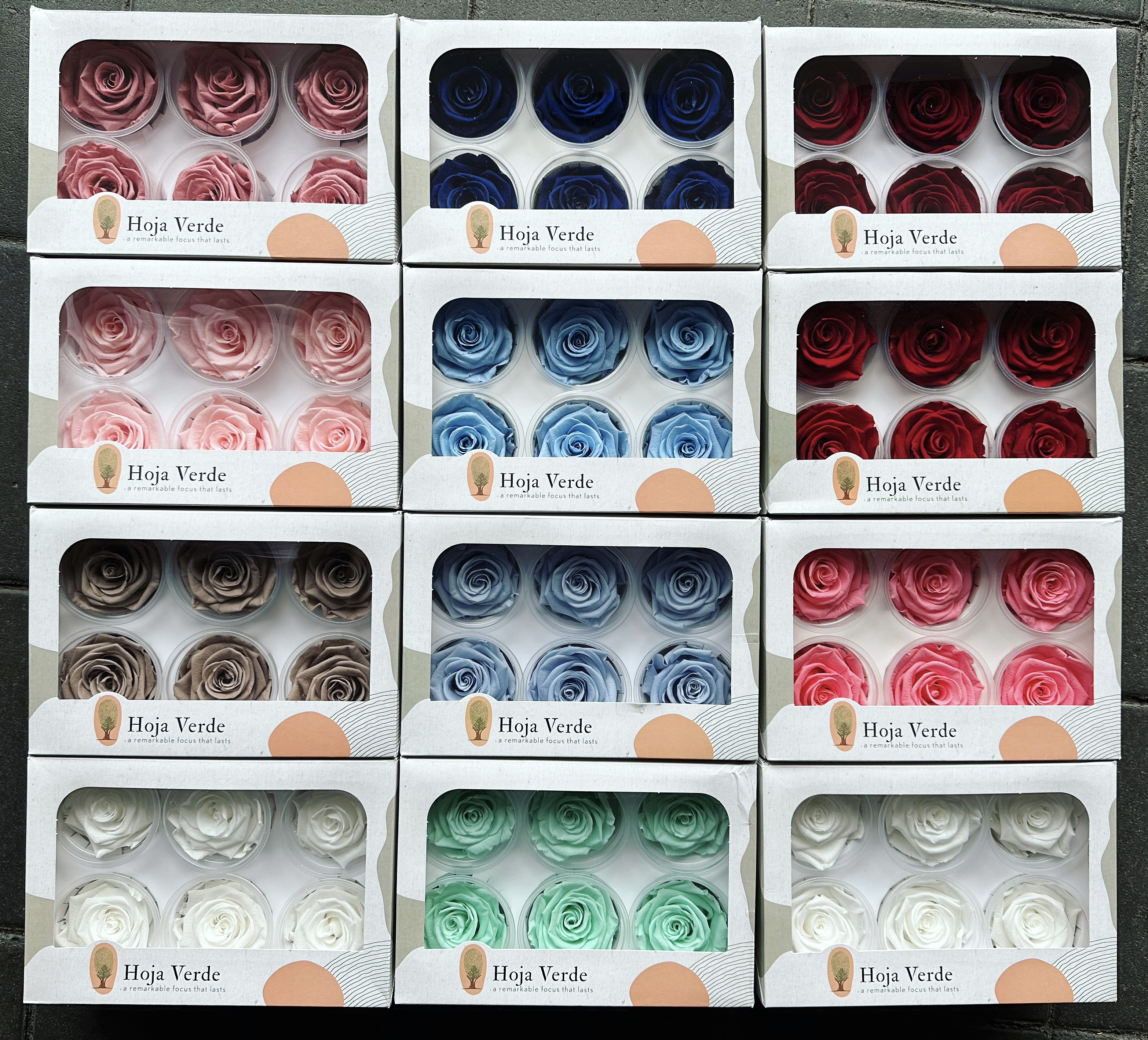 Hoja Verde(厄瓜多)