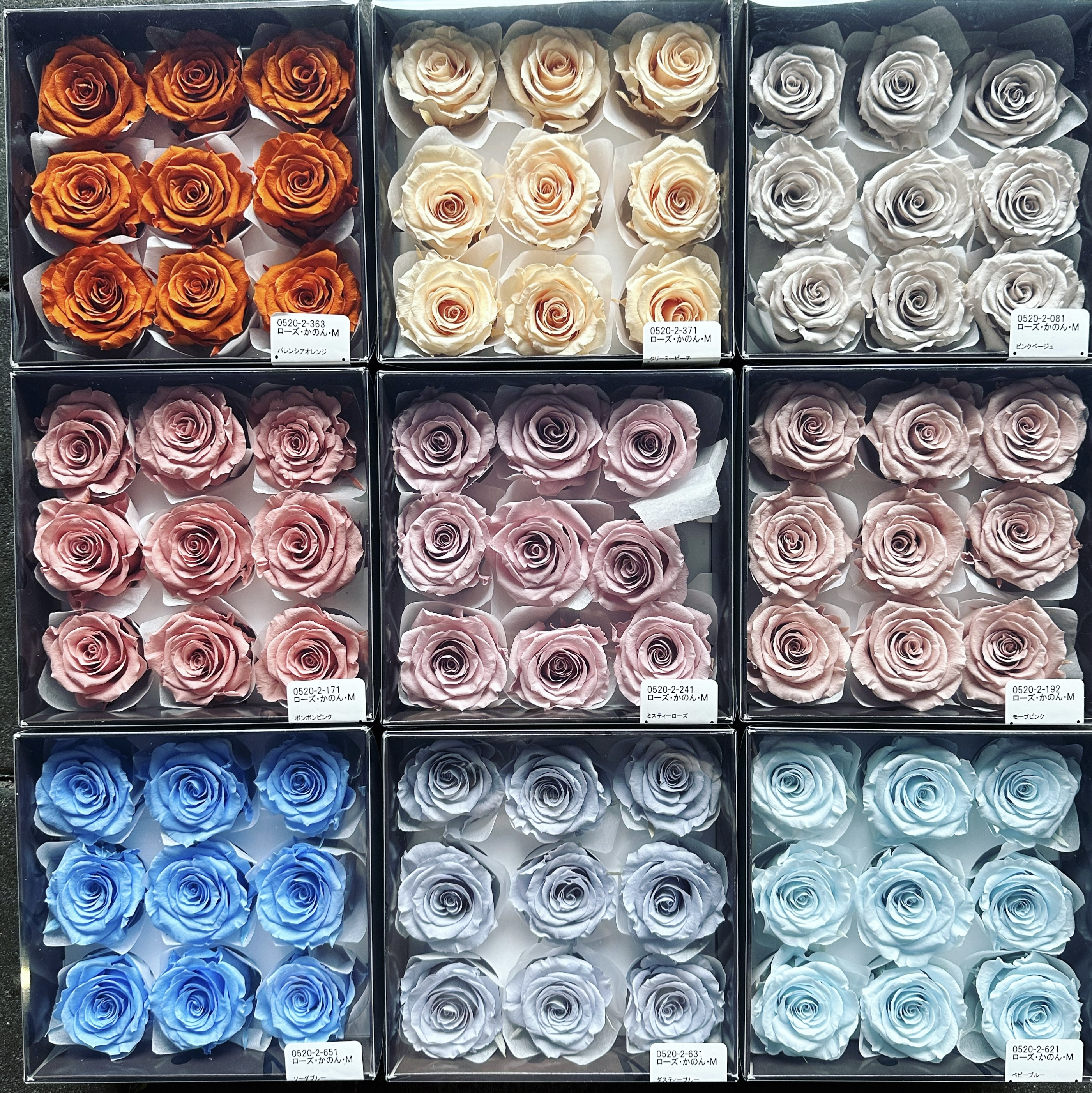 大地農園9輪大玫瑰