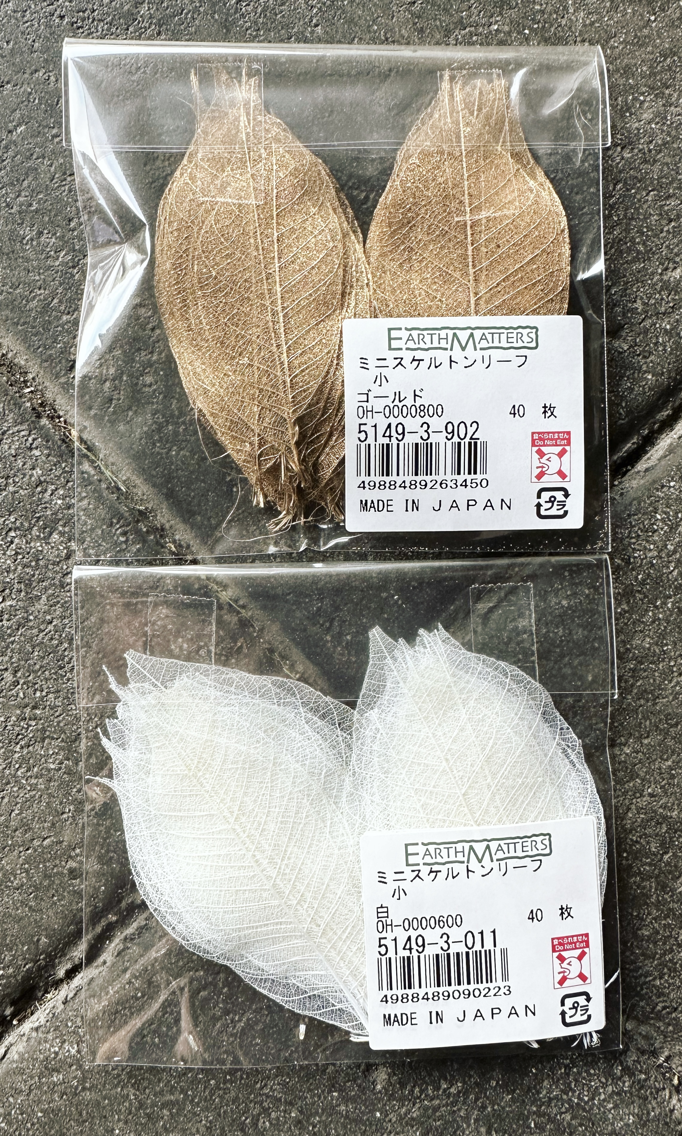 大地農園迷你骨架葉