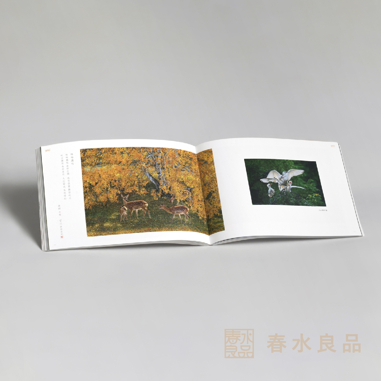 精湛一生｜甘侯攝影集(單本)