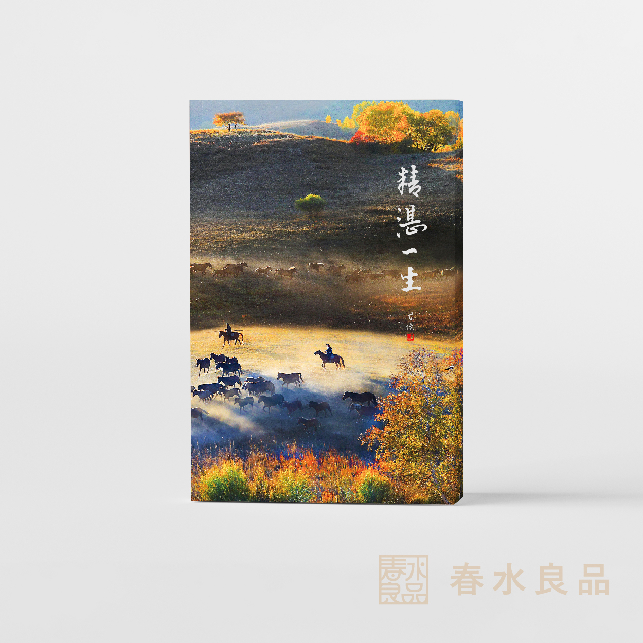 精湛一生｜甘侯攝影集(單本)