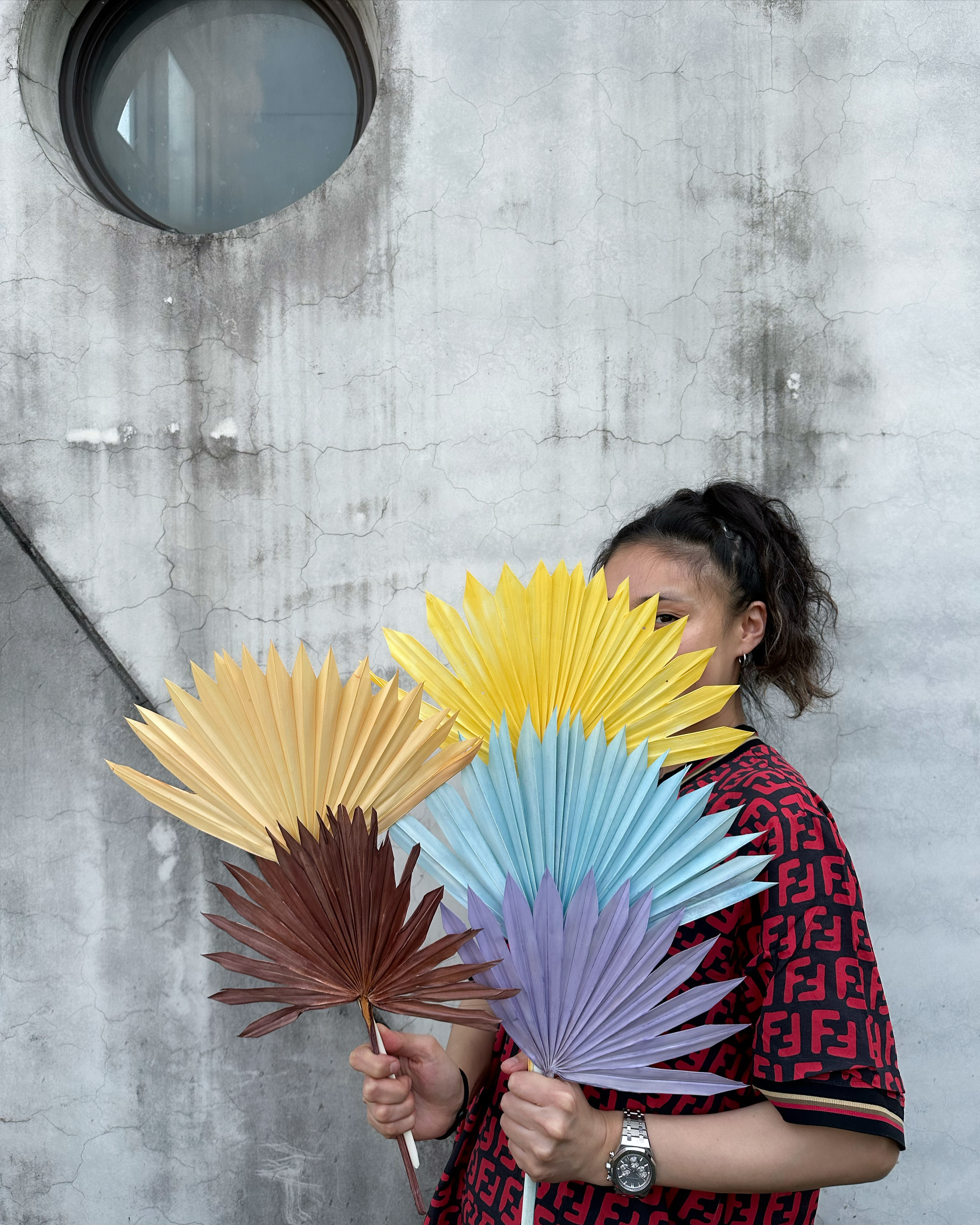 乾燥扇形蒲葵葉