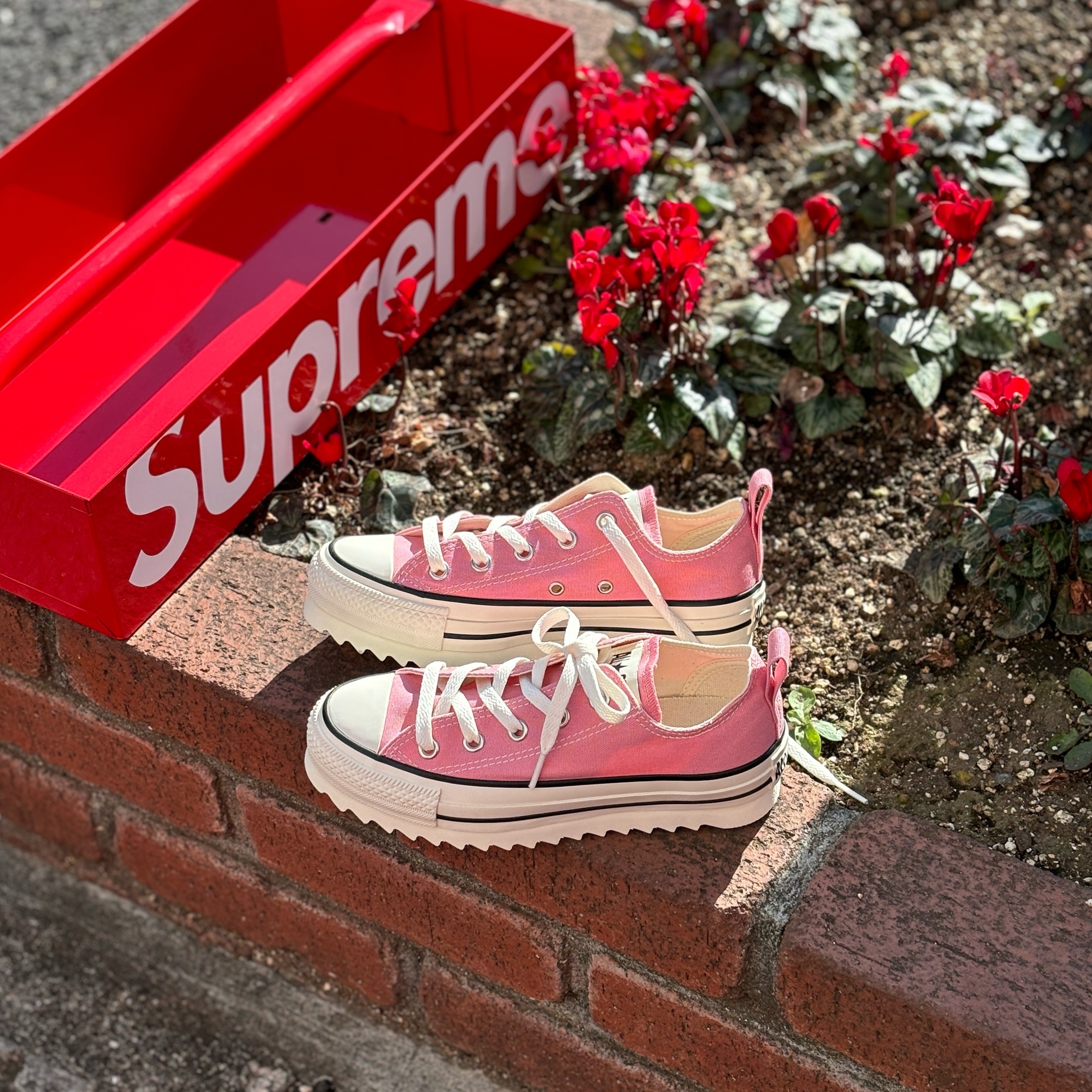 Converse All Star Sharksole Hi 日本限定 漫畫粉 鋸齒 厚底 帆布鞋 31311030 31311040