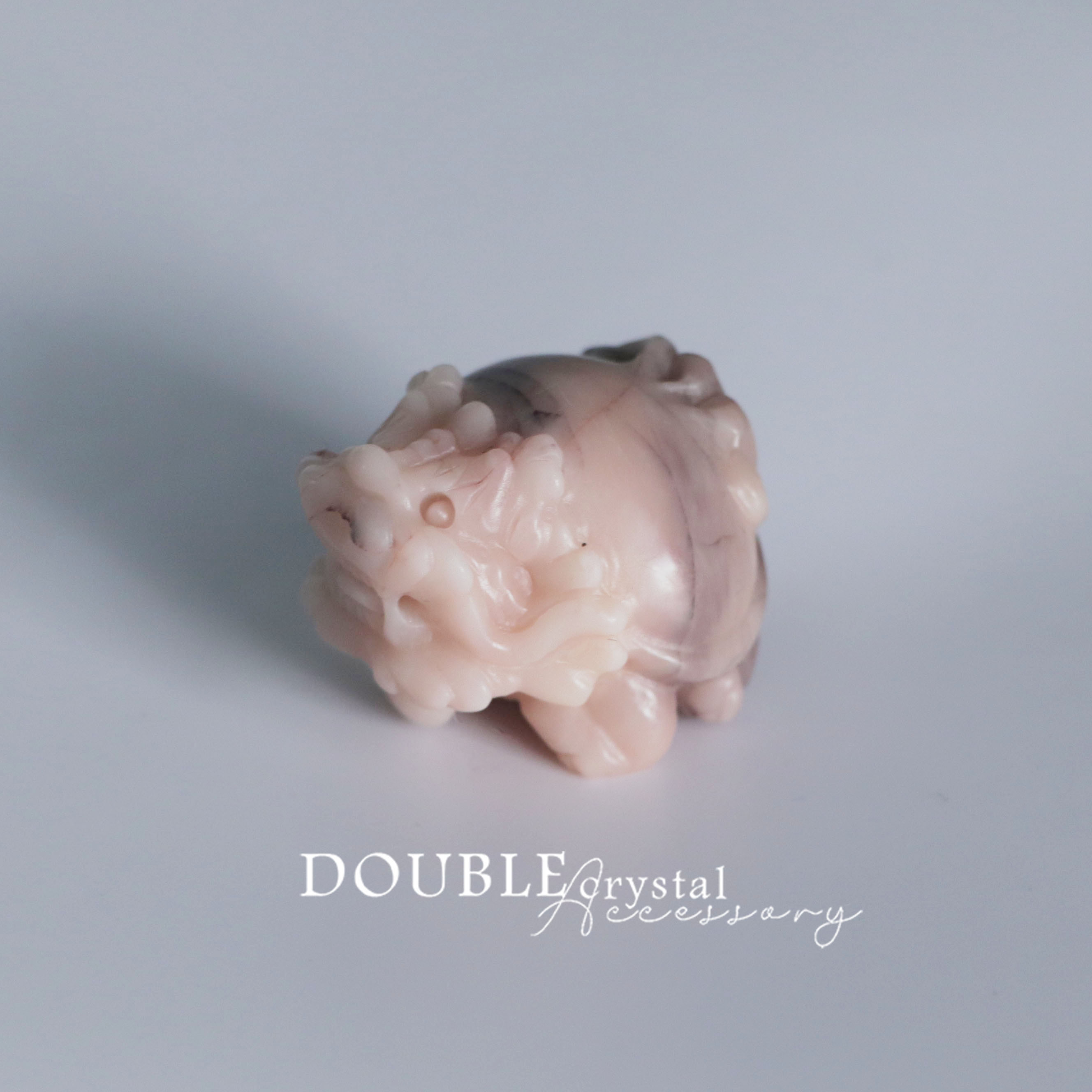 稀有粉色阿拉善龍龜