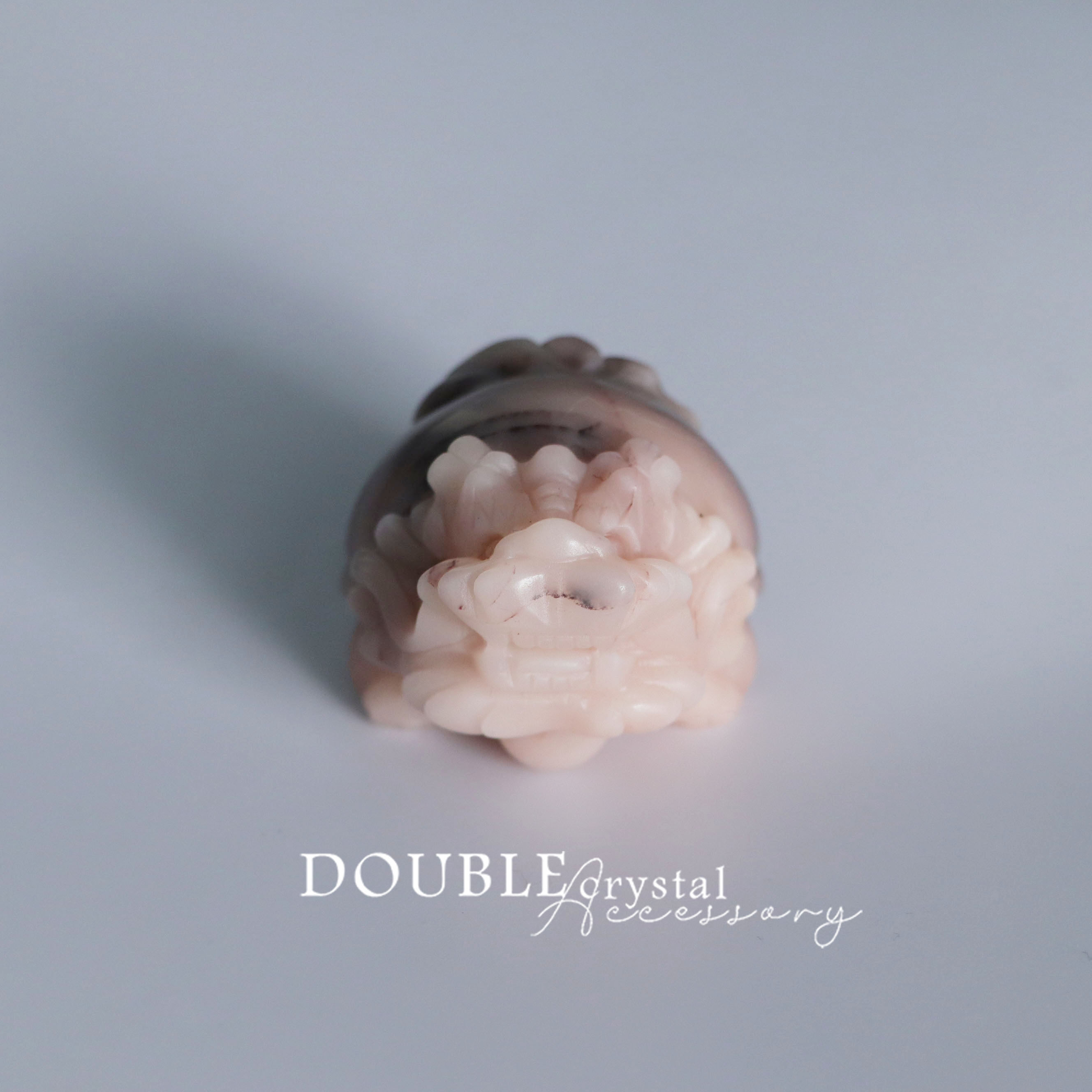 稀有粉色阿拉善龍龜