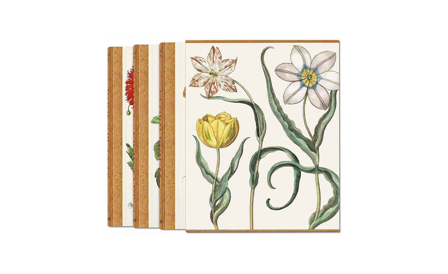 Basilius Besler The Garden at Eichstätt Set: Florilegum / Garden at Eichstatt / Book of Plants (1-3)