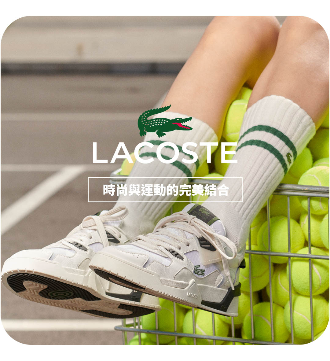 LACOSTE法國傳奇品牌全部商品頁面
