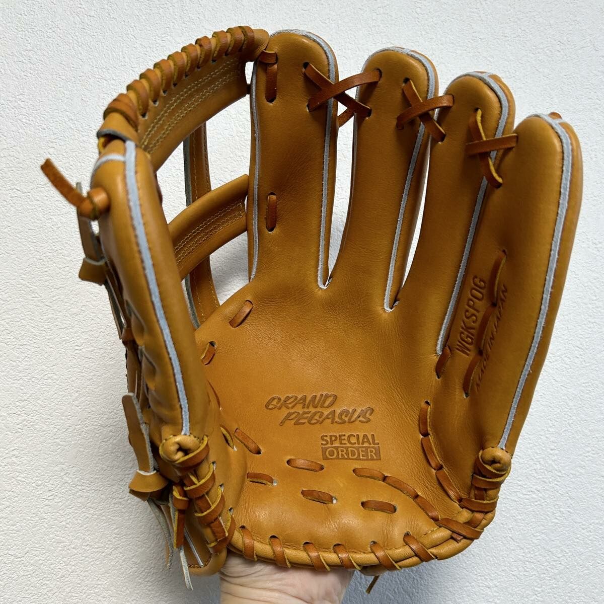 【照片分享】WorldPegasus 獨角獸 硬式内野WGKGP42+10mm order