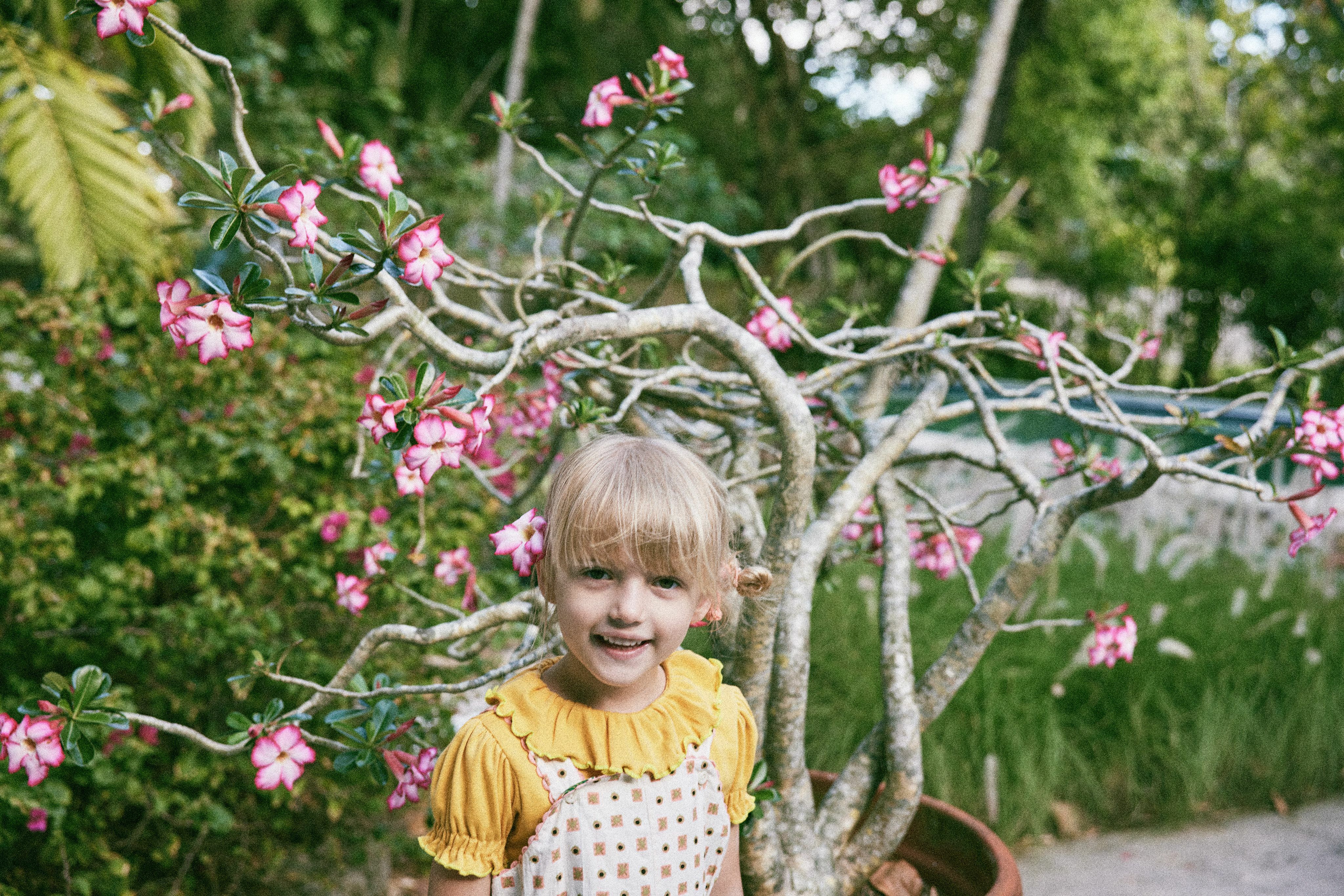 Misha & Puff - Balloon Sleeve Paloma Tee - Sunnyside