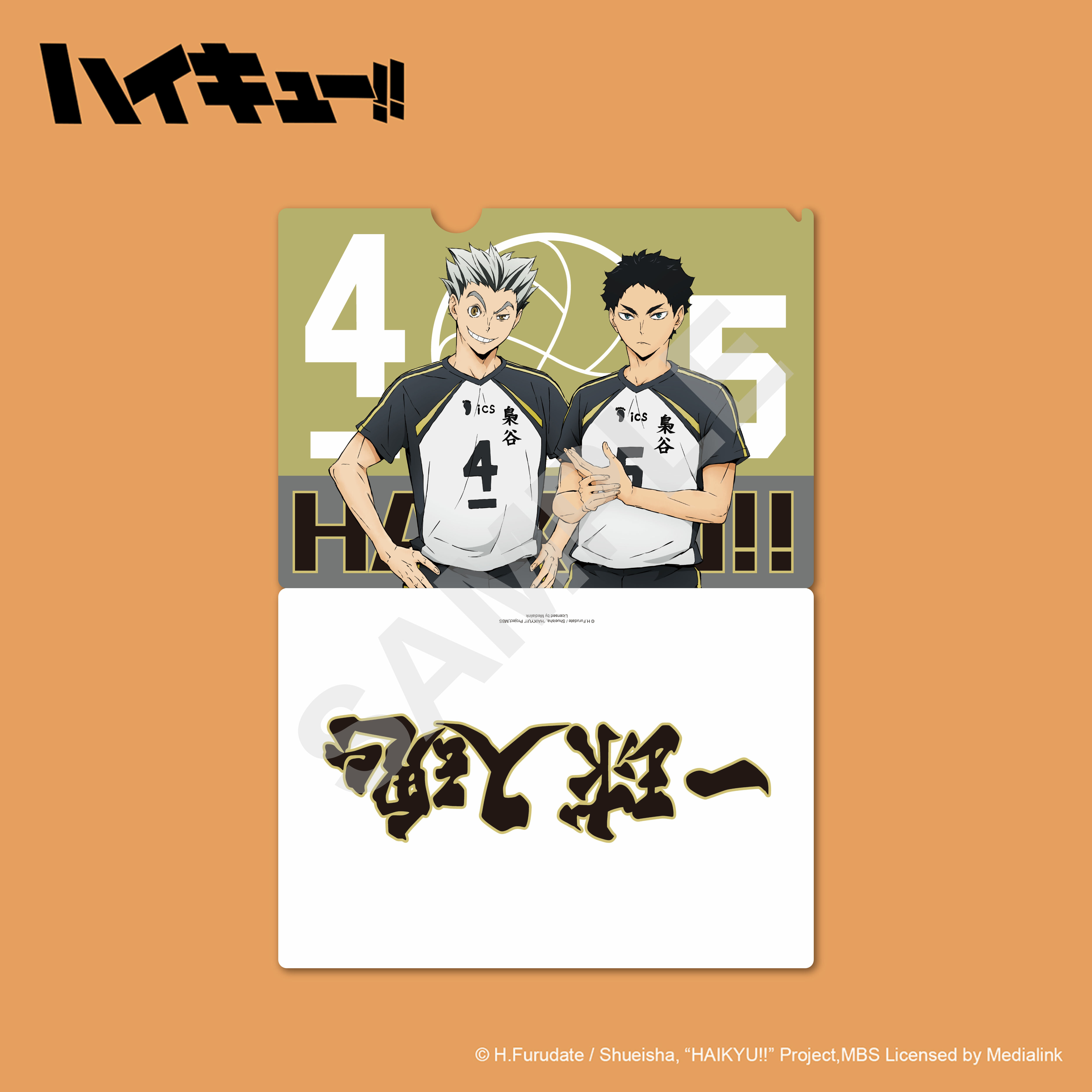 排球少年!!-資料夾-灰-梟谷學園高校