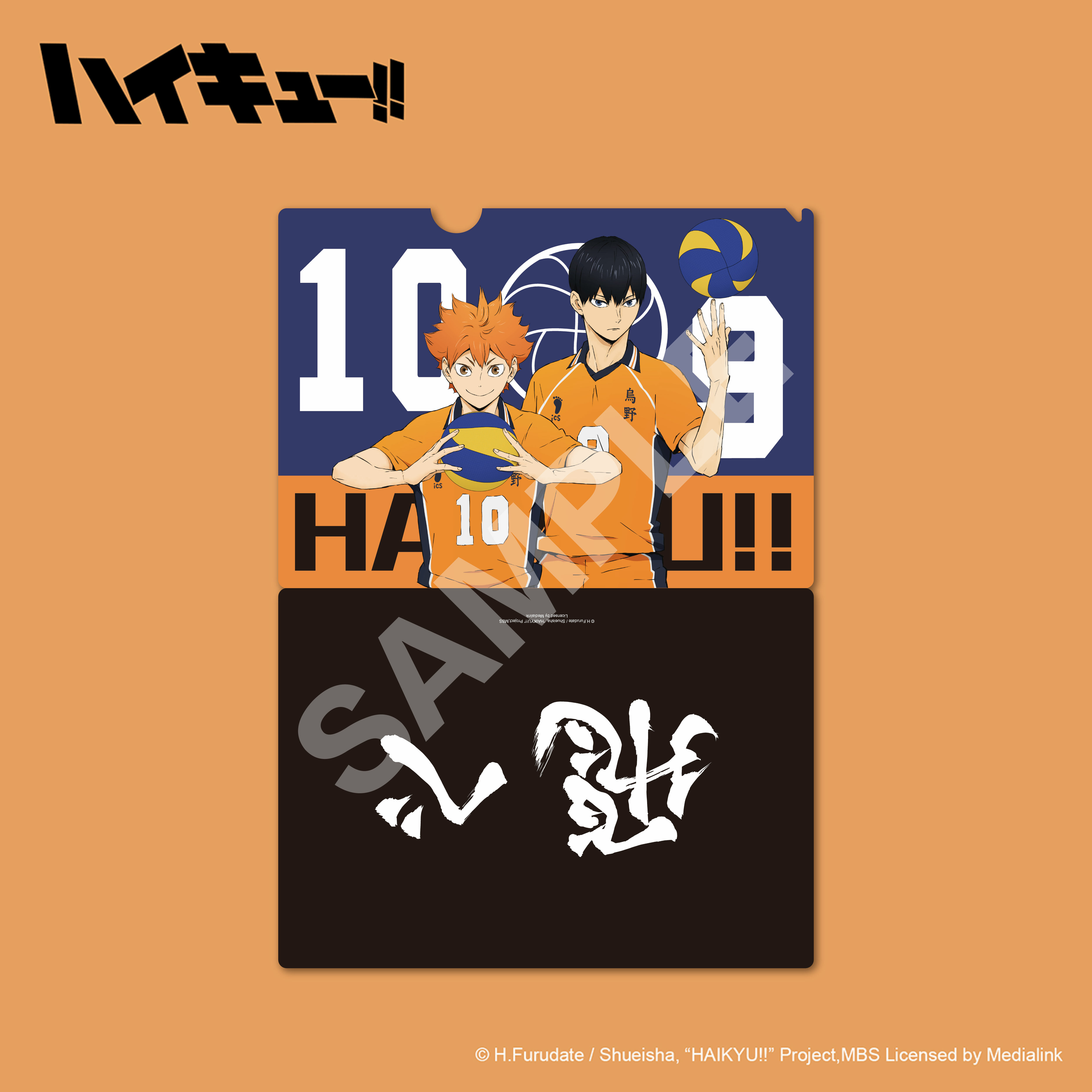 排球少年!!-資料夾-烏野高校