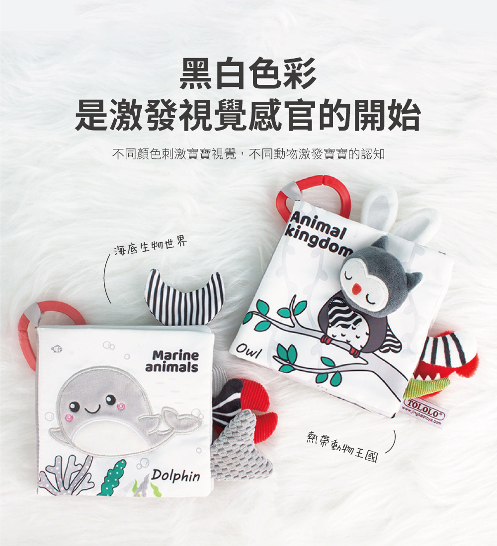 黑白色彩,視刺激視覺感官的開始,不同顏色與不同動物物