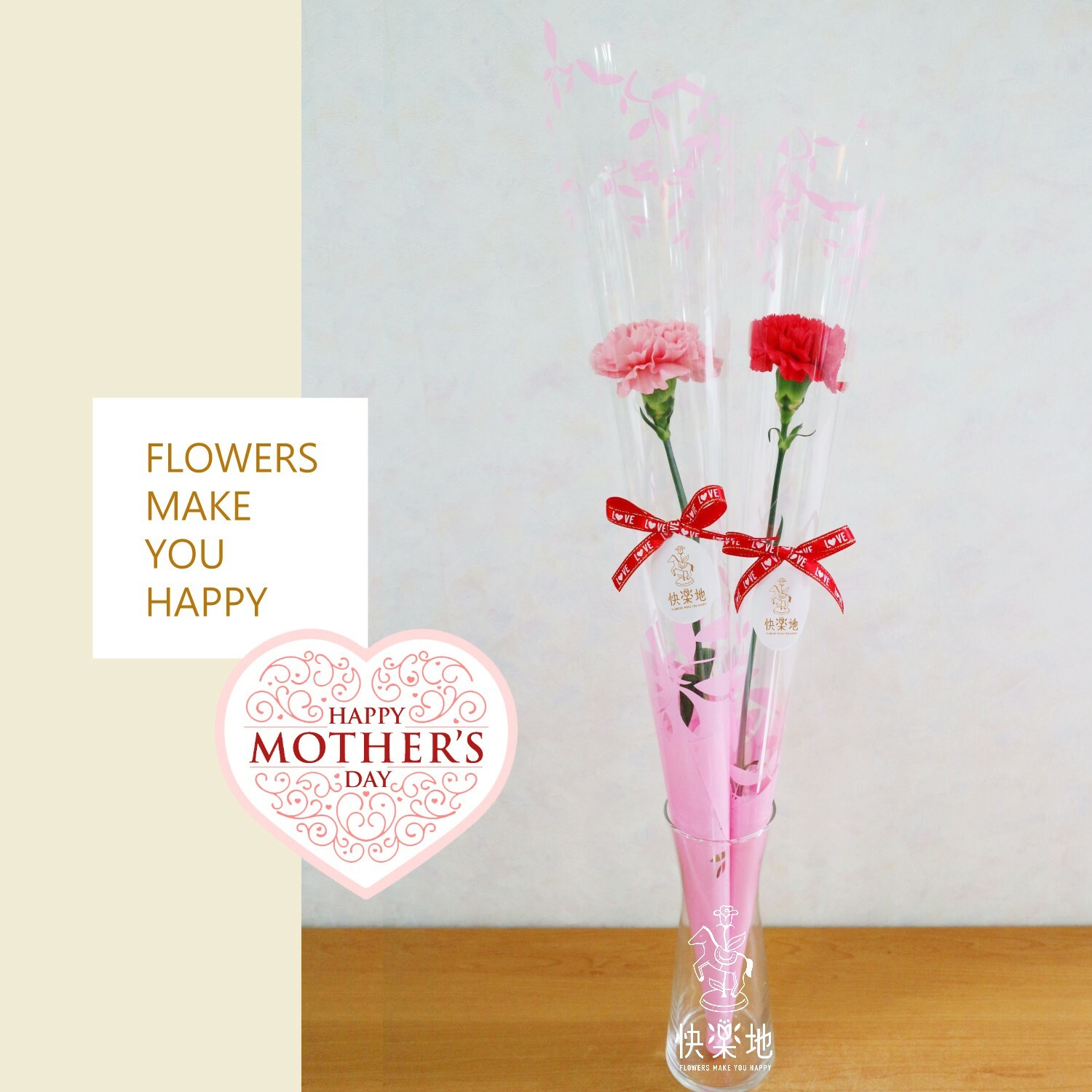 溫馨祝福 I 單支康乃馨  BF240280