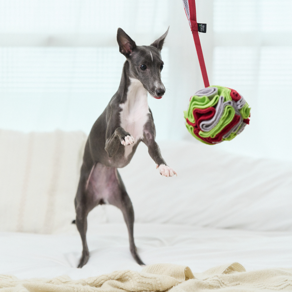 Minus One 邁樂思 | 環保法絨系列 繩帶拔河互動玩具