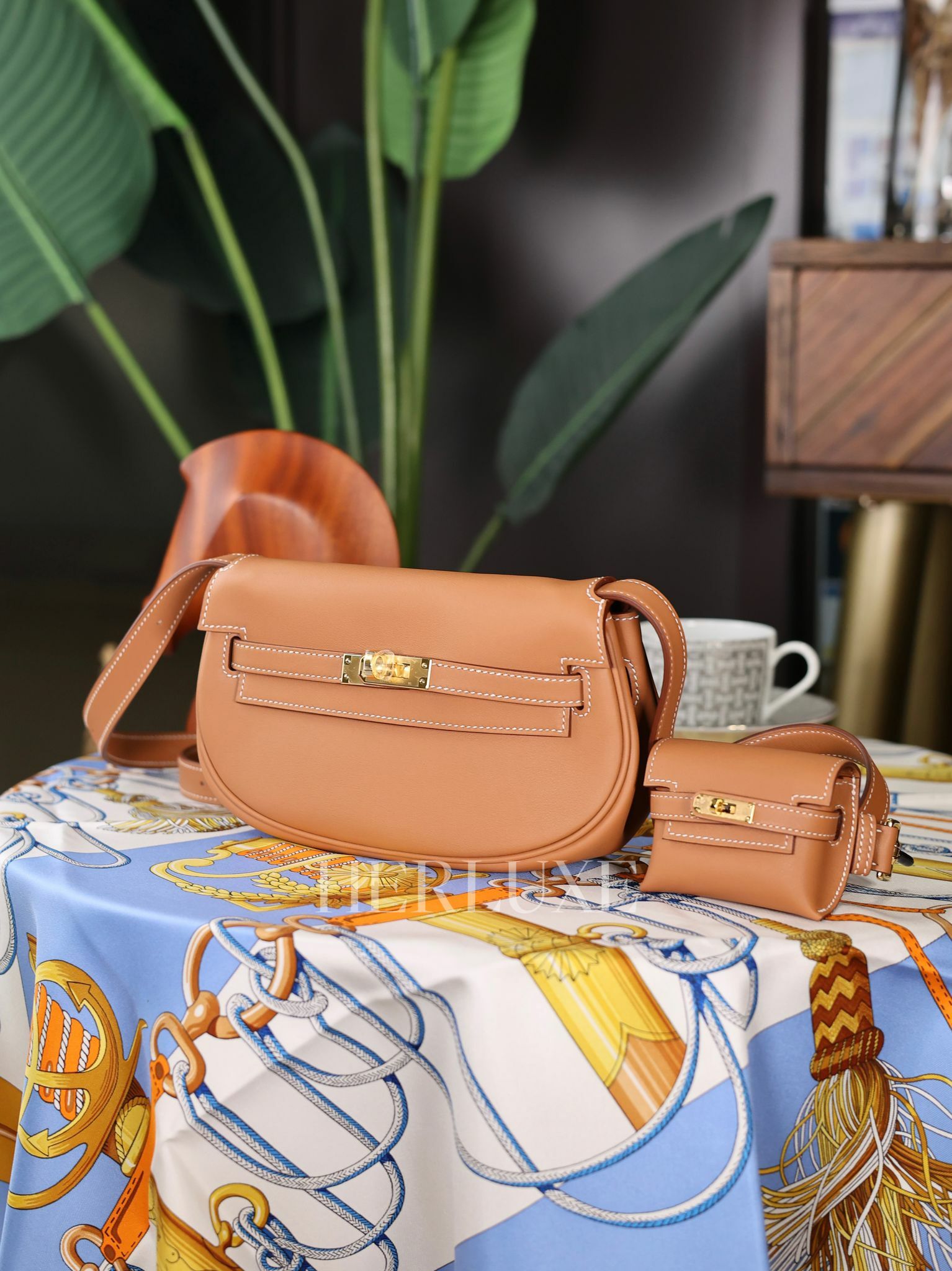 Kelly moove 37 gold cc Swift W