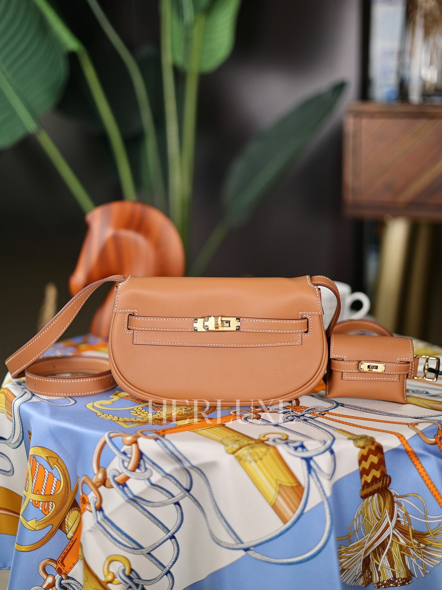 Kelly moove 37 gold cc Swift W