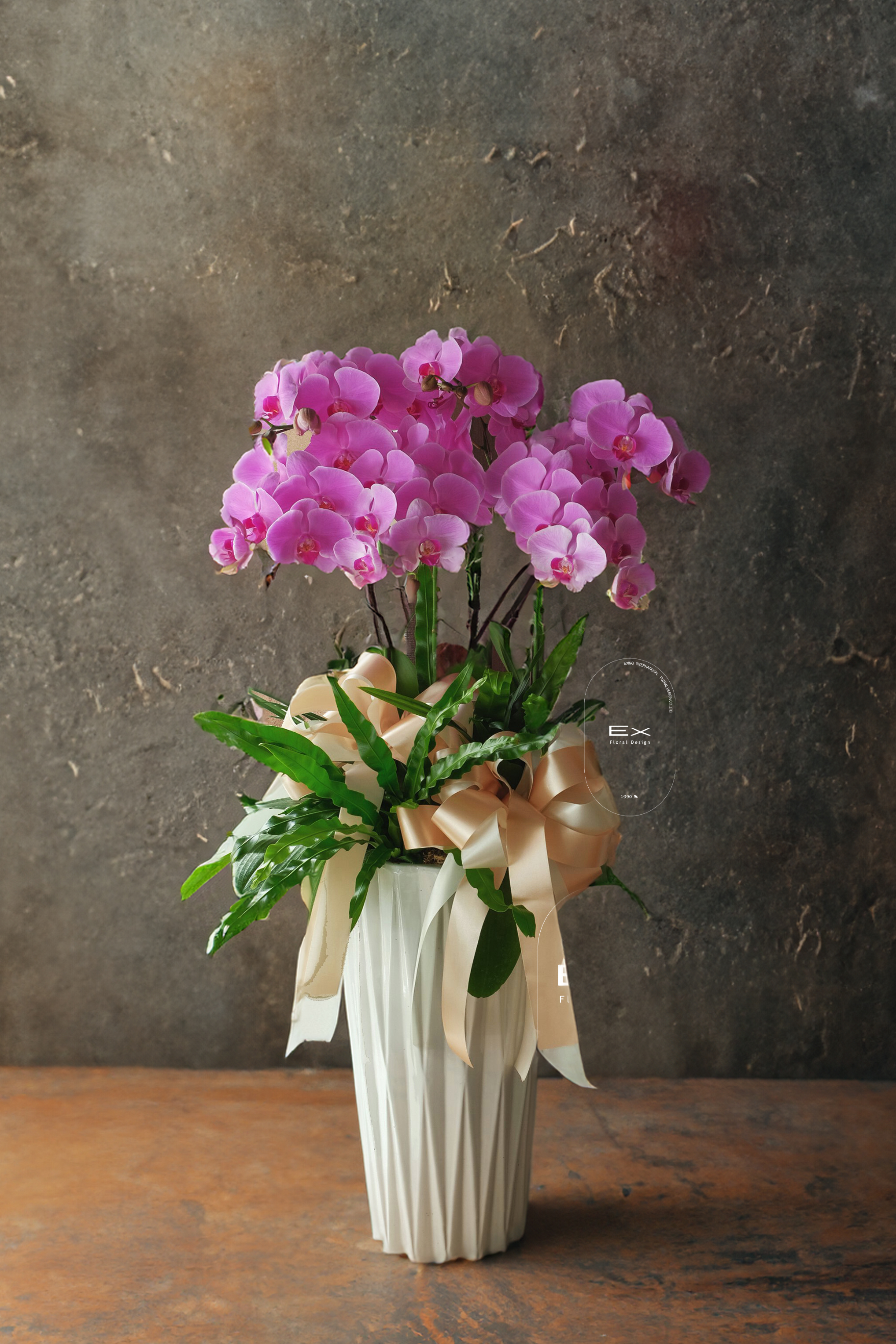 最溫暖的祝福｜蝴蝶蘭花禮