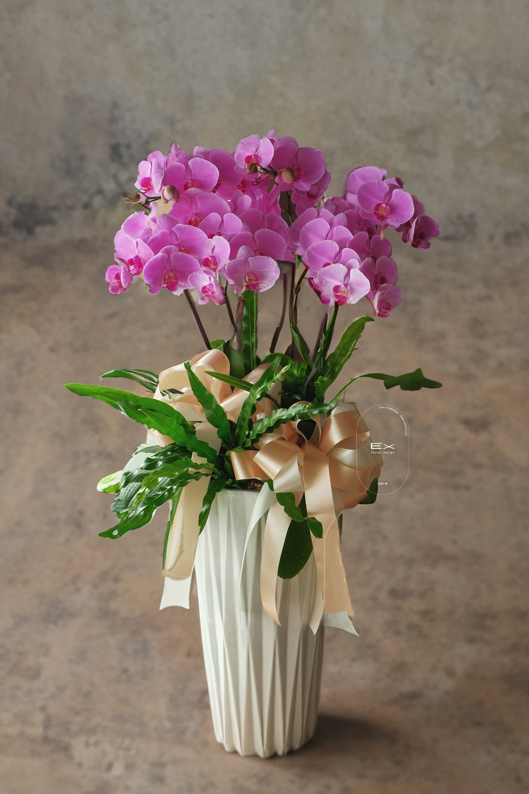 最溫暖的祝福｜蝴蝶蘭花禮