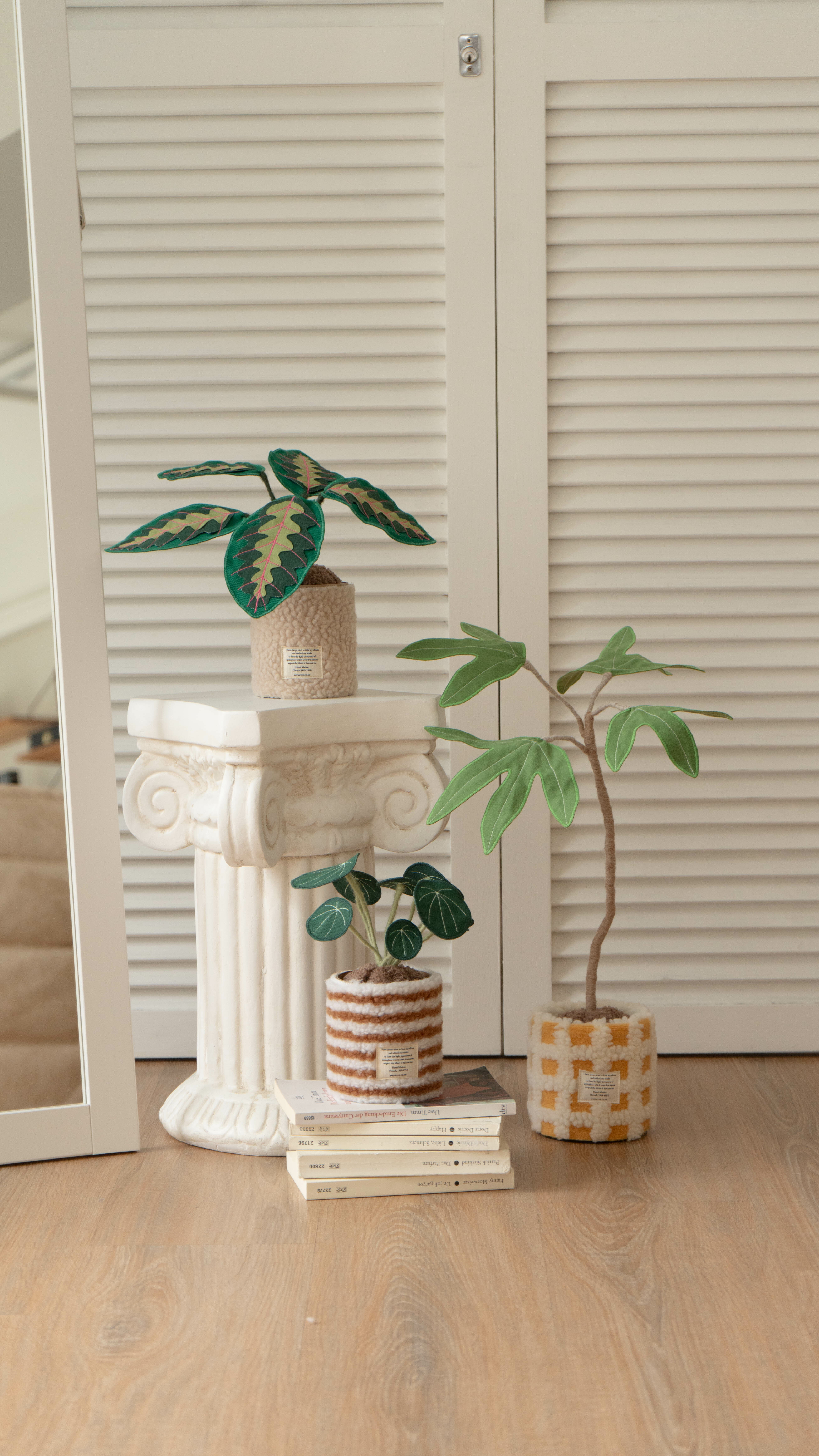 韓國 POCHETTE 布植物🪴