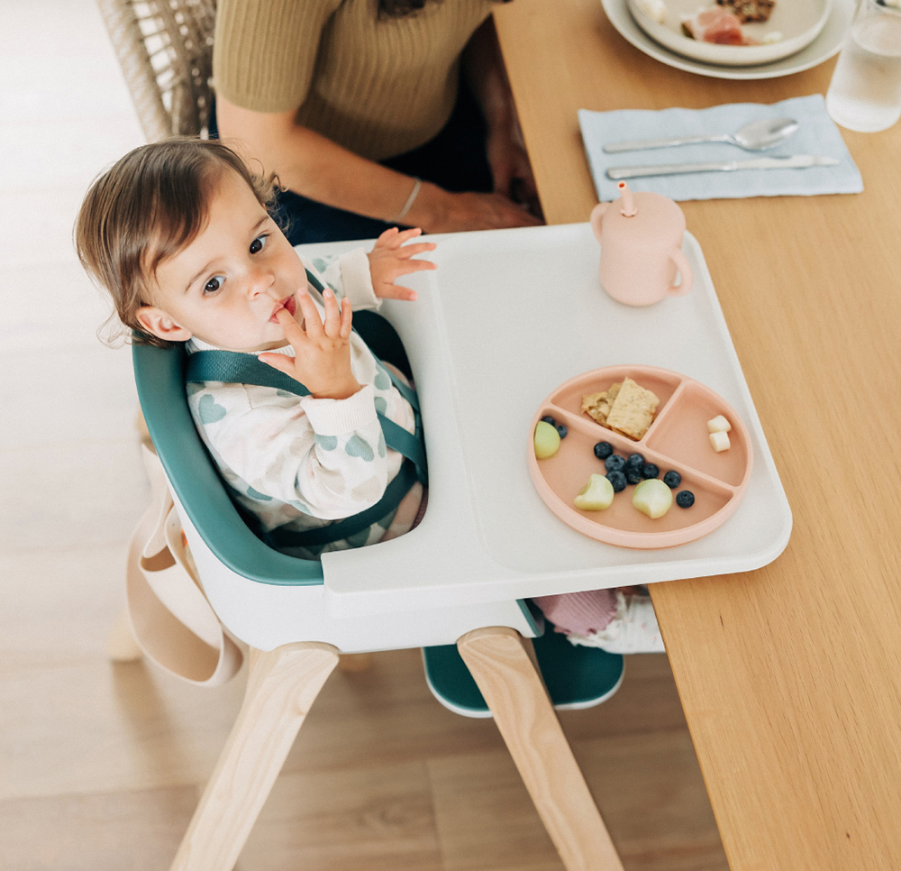 UPPAbaby Ciro高腳餐椅