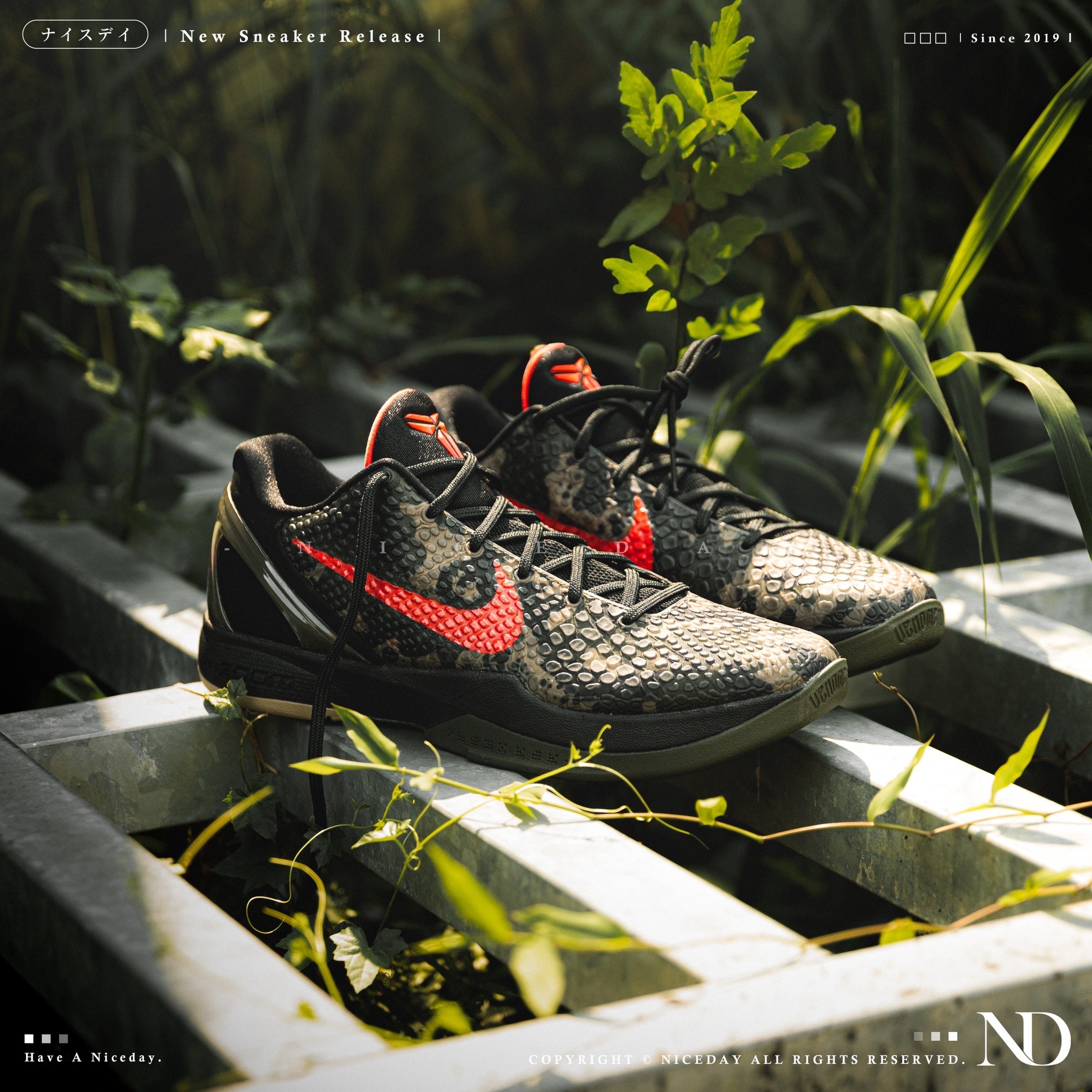 NICEDAY 預購 Nike Kobe 6 Protro Italian Camo 義大利迷彩 棕 綠 橘勾 柯比 實戰籃球鞋 FQ3546-001