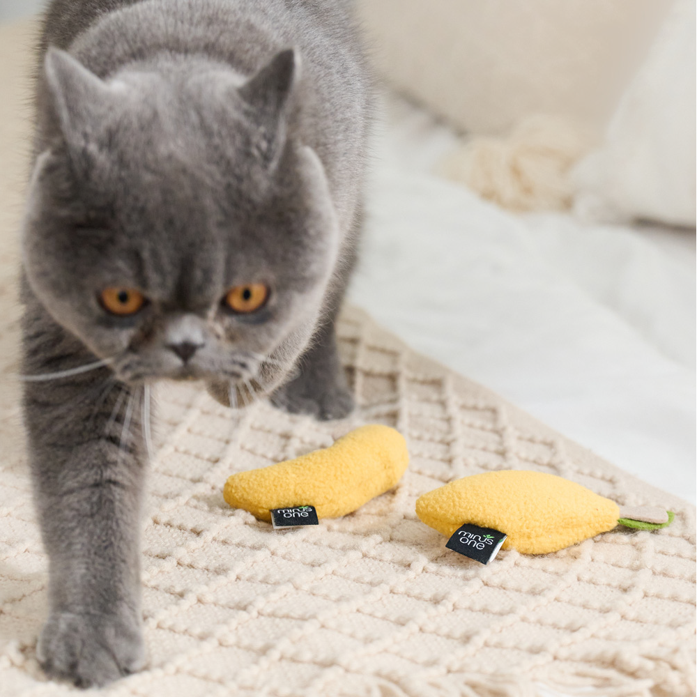 Minus One 邁樂思｜造型貓草系列 水果造型貓草玩具