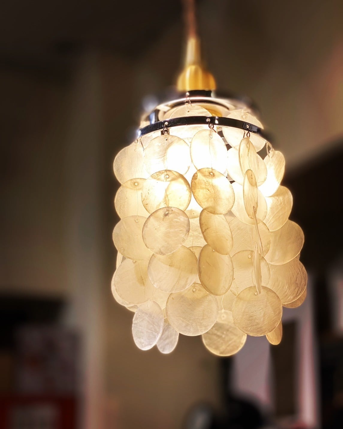 日本802 PRODUCTS Shell 貝殼LED吊燈燈罩 適用Goal Zero/SOF燈/38燈