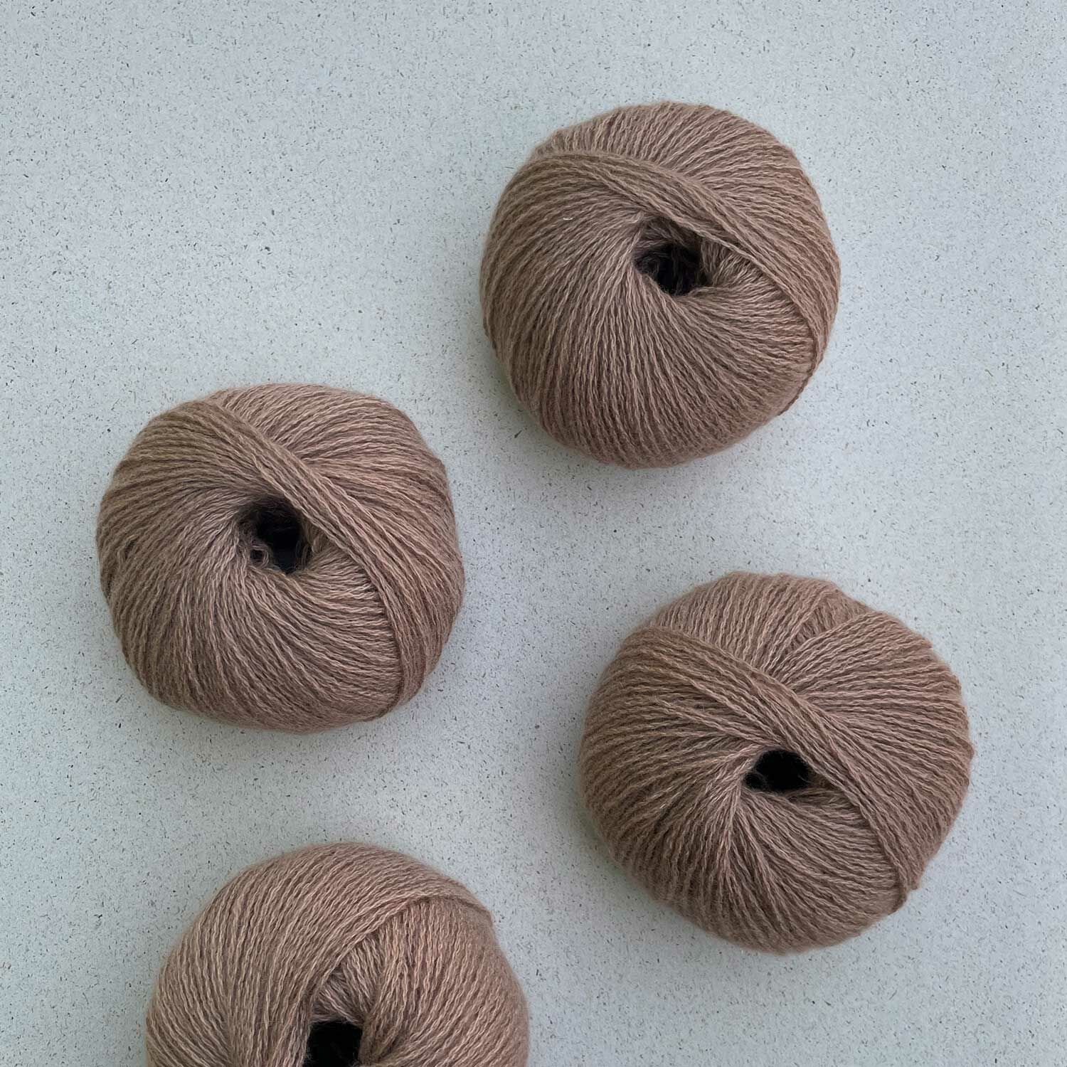 喀什米爾 Cashmere 6/28- Pascuali