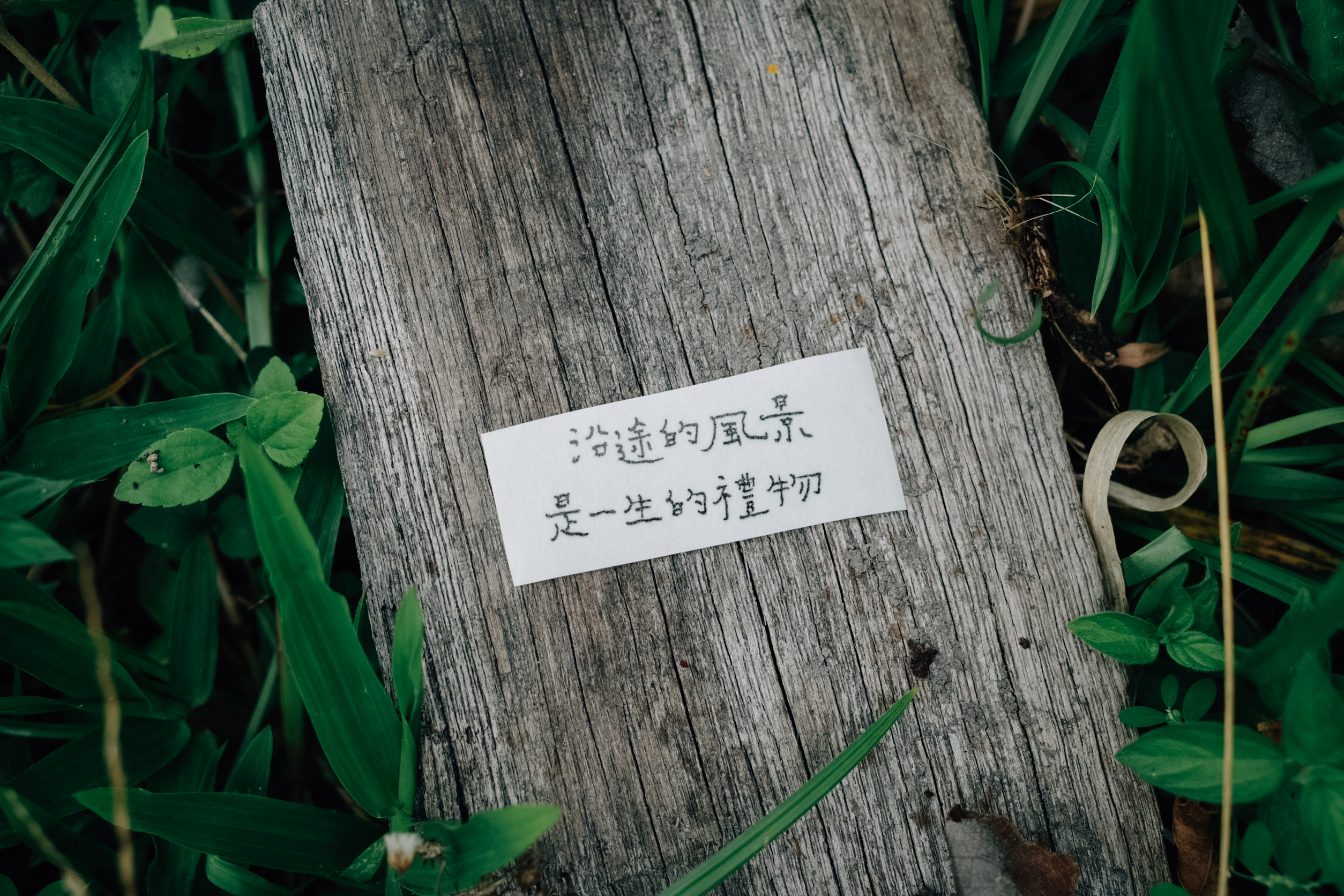 我果然還是很想成為這樣的人 文字紙膠帶  | 青青的島