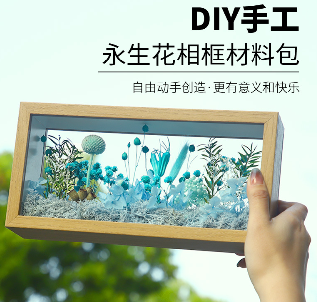 干花相框diy材料包 送3米led灯