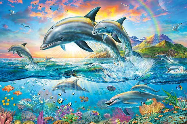 海洋藝術-海豚遊行