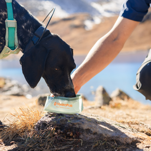 Hydrapak ROVER DOG BOWL 500ml 寵物軟式水盆