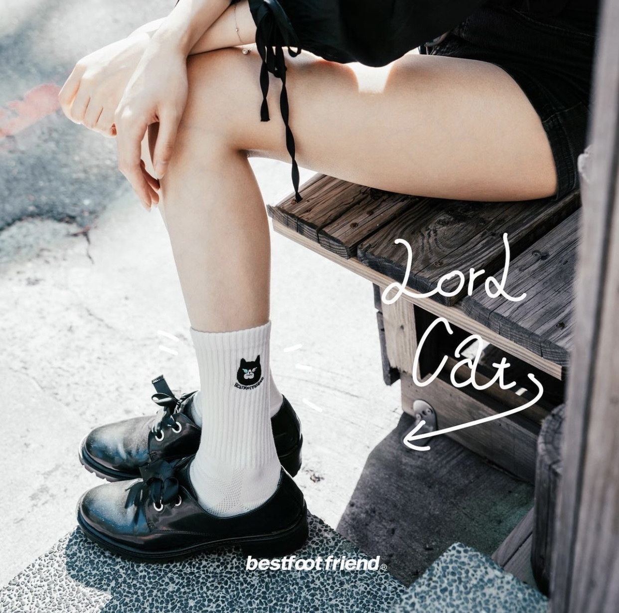 Best Foot Friend Black Lord Cat