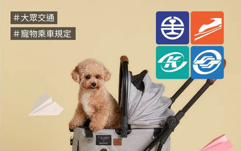 寵物搭乘大眾運輸工具