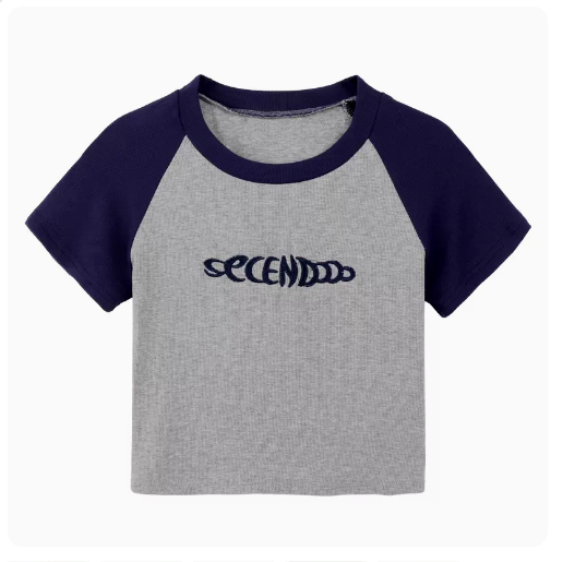 Short Sleeve Letter T-Shirt (Grey) (One Size)