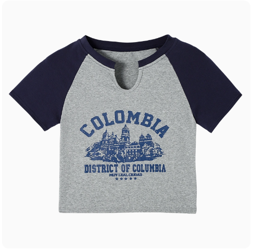 Raglan Sleeve T-Shirt (Grey) (One Size)
