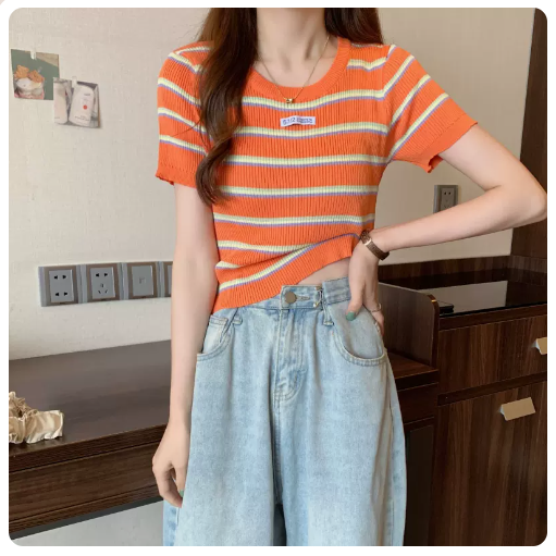 Knitted Contrast Striped Short Sleeve Top (Orange) (One Size)