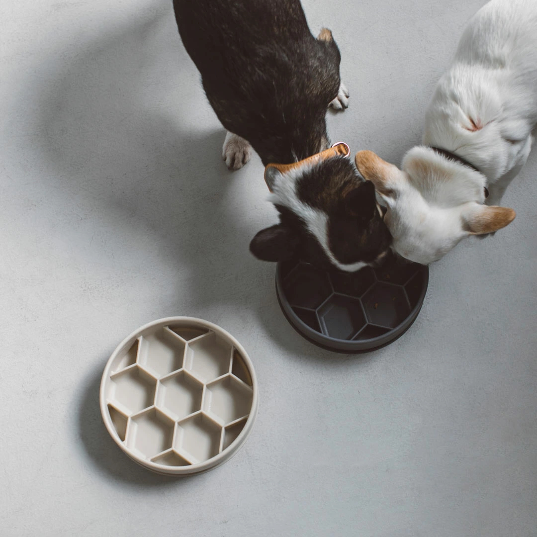 【Free Stitch】Silicone Slow Feeding Bowl