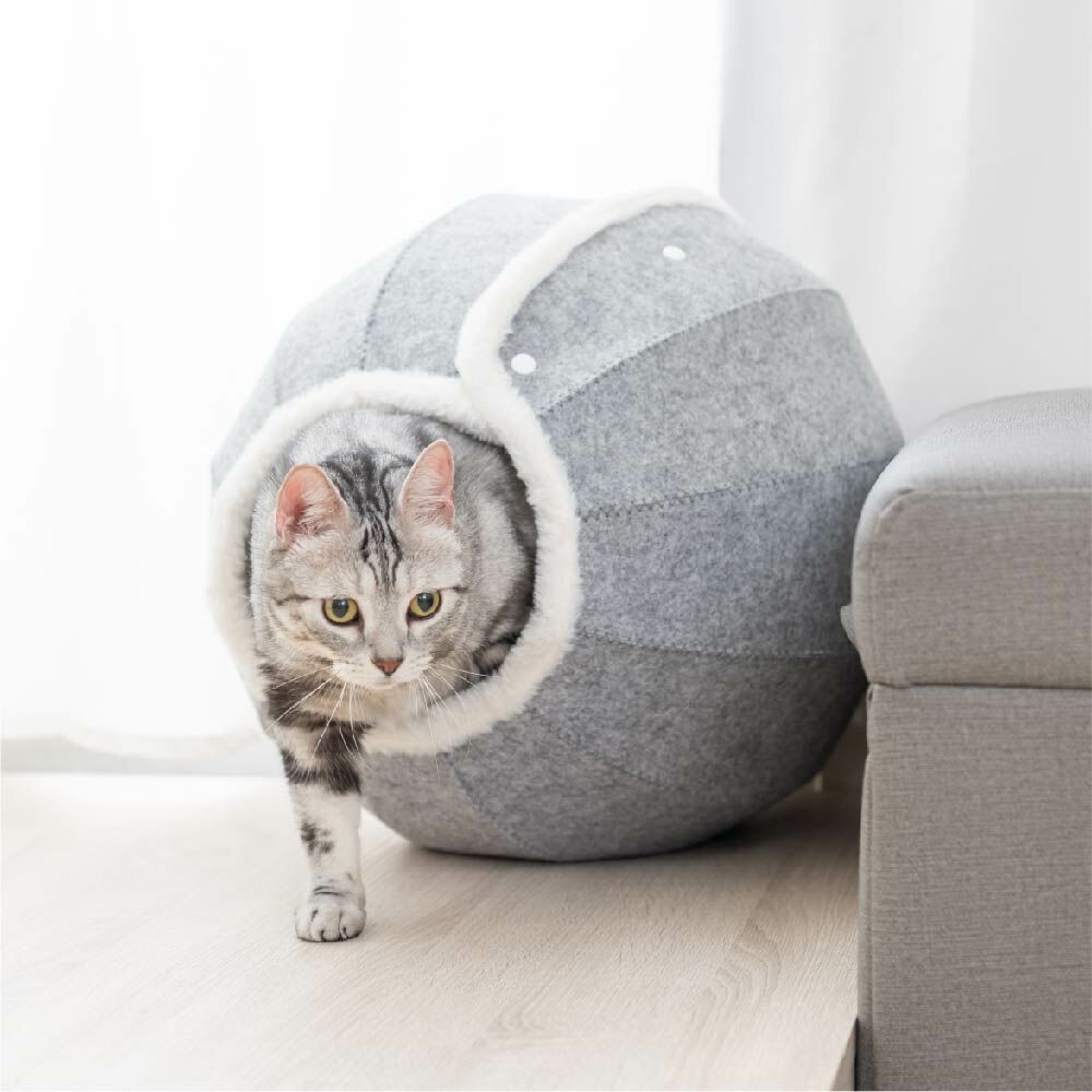 【Petpanny陪陪你】雪球絨毛貓窩