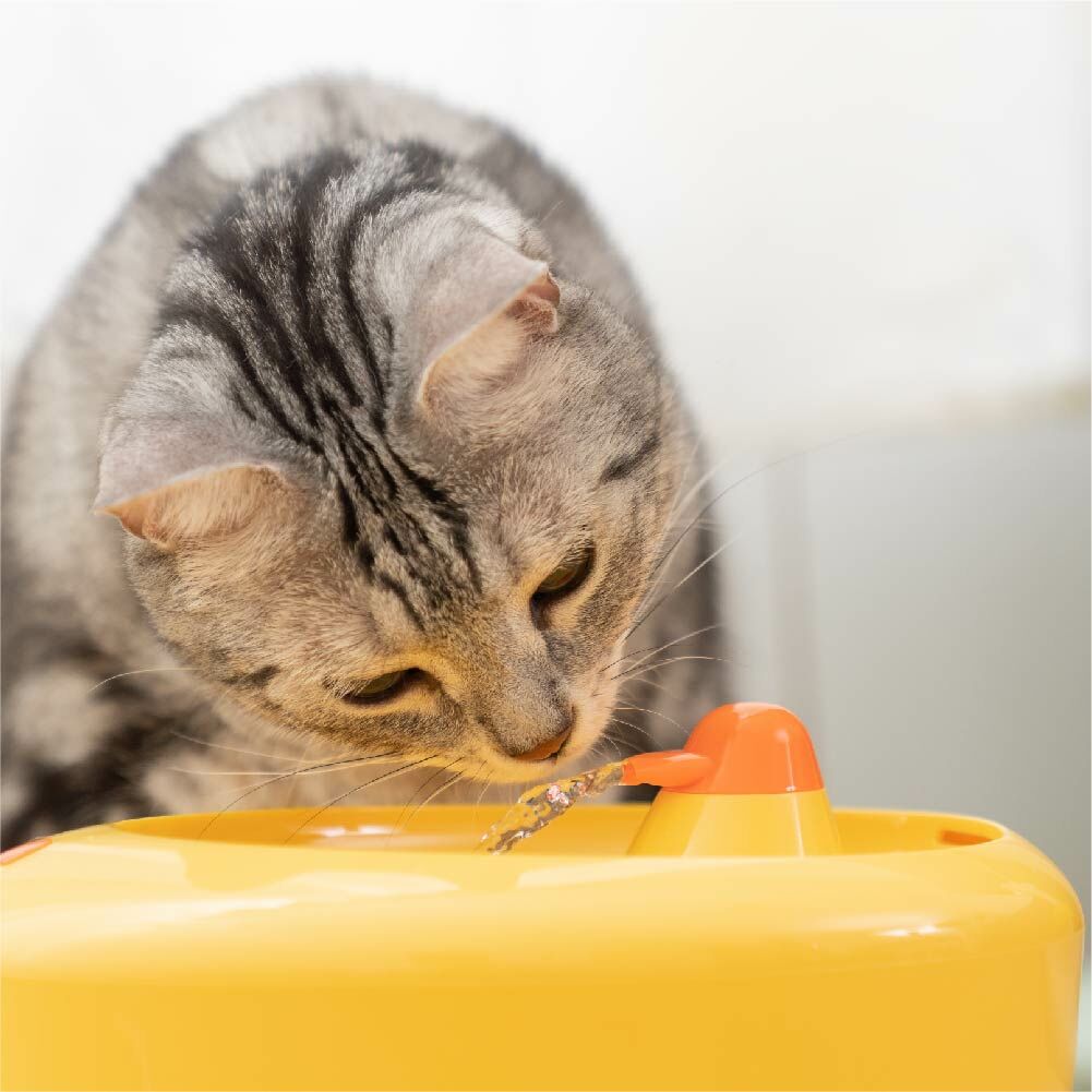 【Petpanny陪陪你】寵物循環飲水機2L | 小鴨