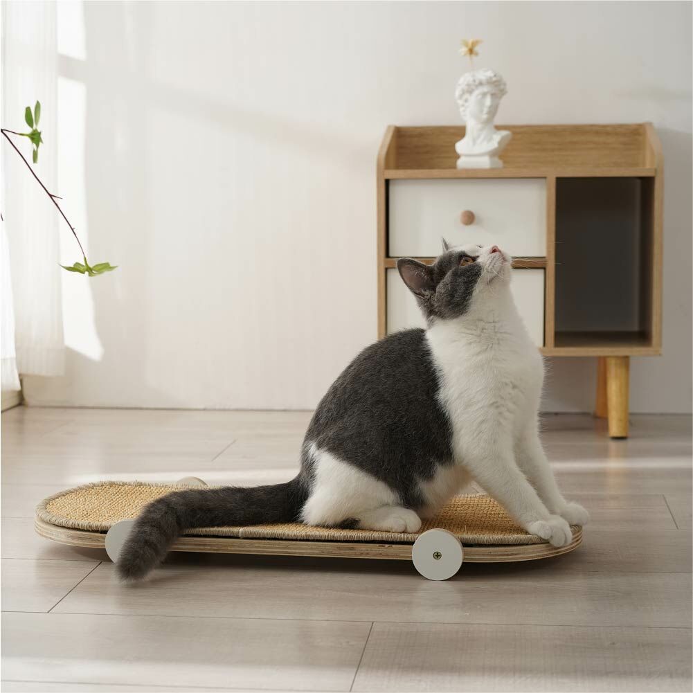 【Petpanny陪陪你】 滑板貓抓板