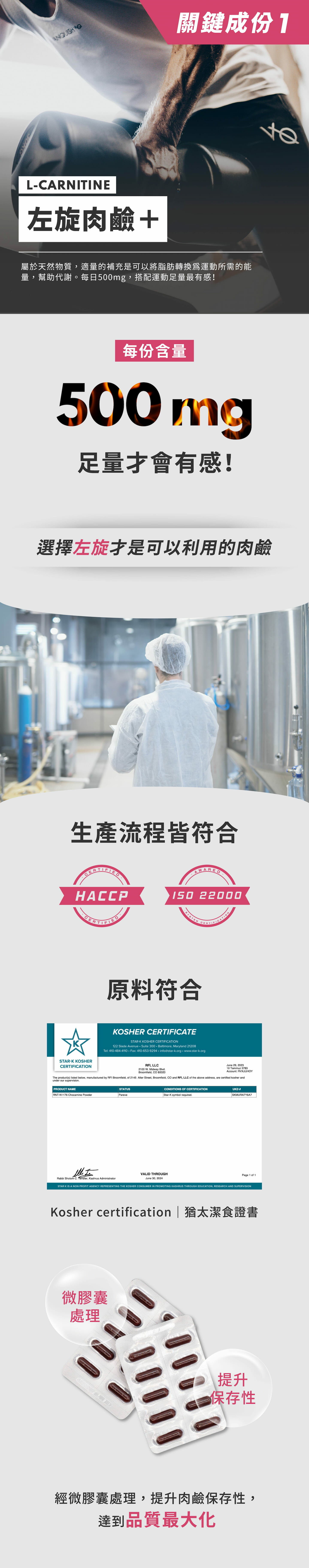 左旋肉鹼 L-CARNITINE|STEPV 你的健康好夥伴