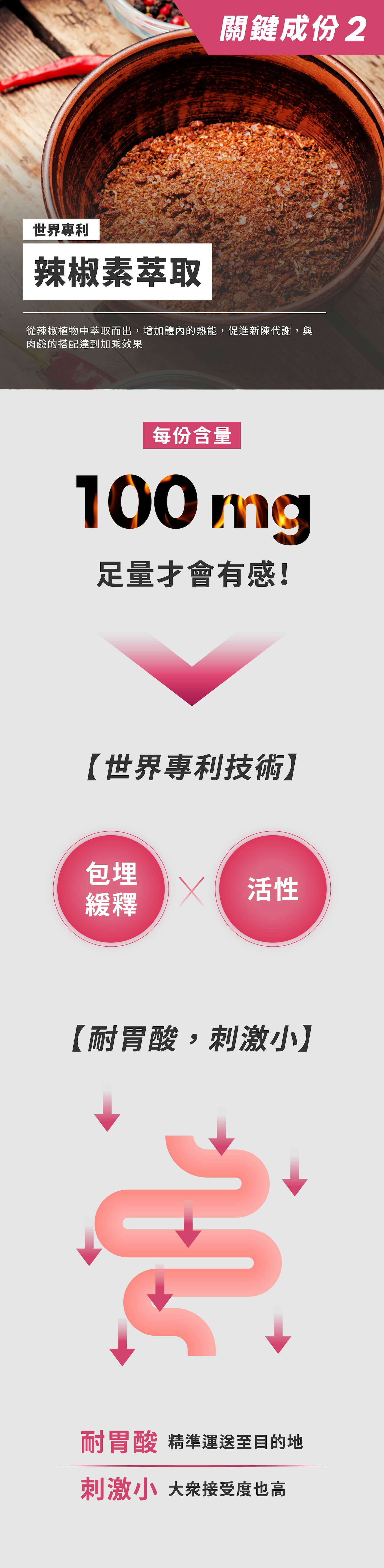 左旋肉鹼 L-CARNITINE|STEPV 你的健康好夥伴