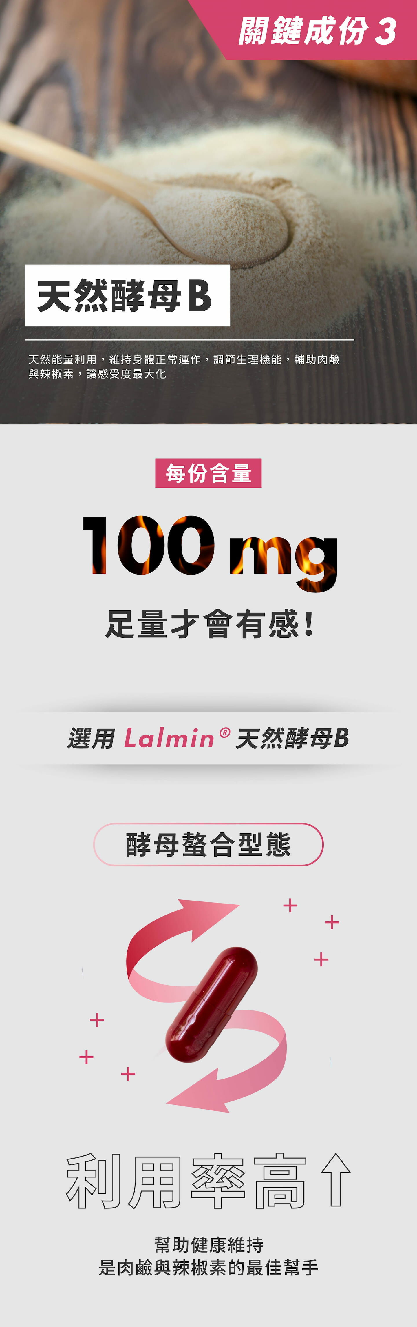 左旋肉鹼 L-CARNITINE|STEPV 你的健康好夥伴
