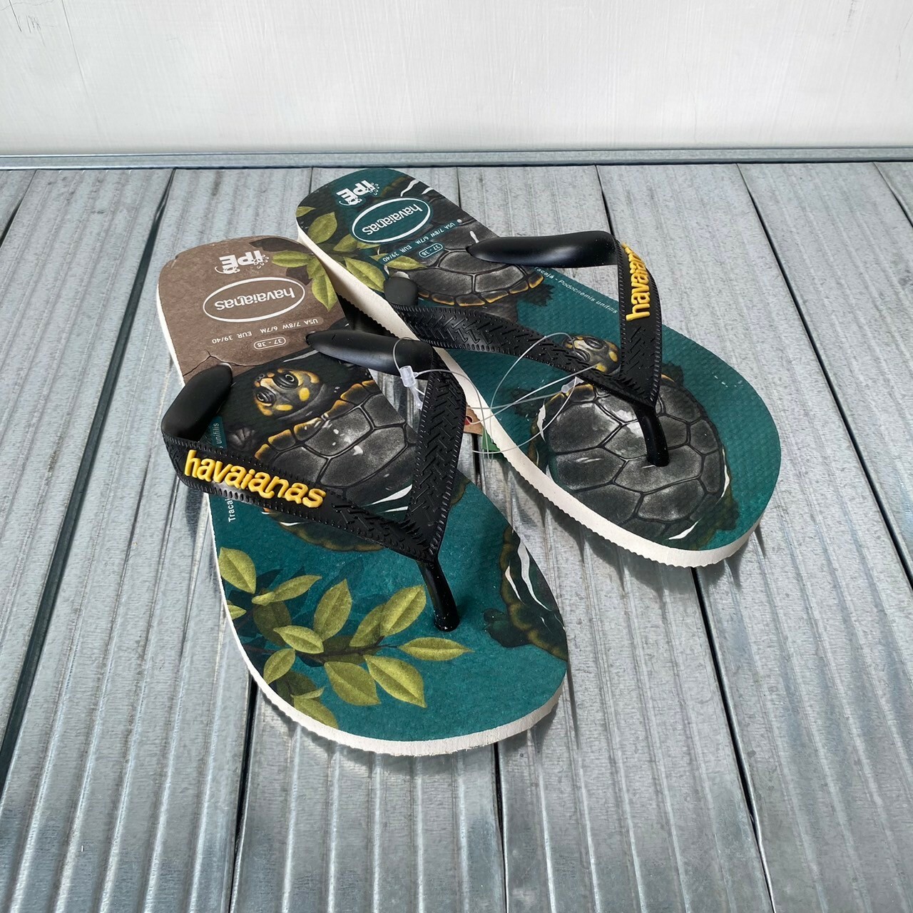 Havaianas 哈瓦仕 lpe 夾腳拖 海龜 藍綠 4000396-1594U