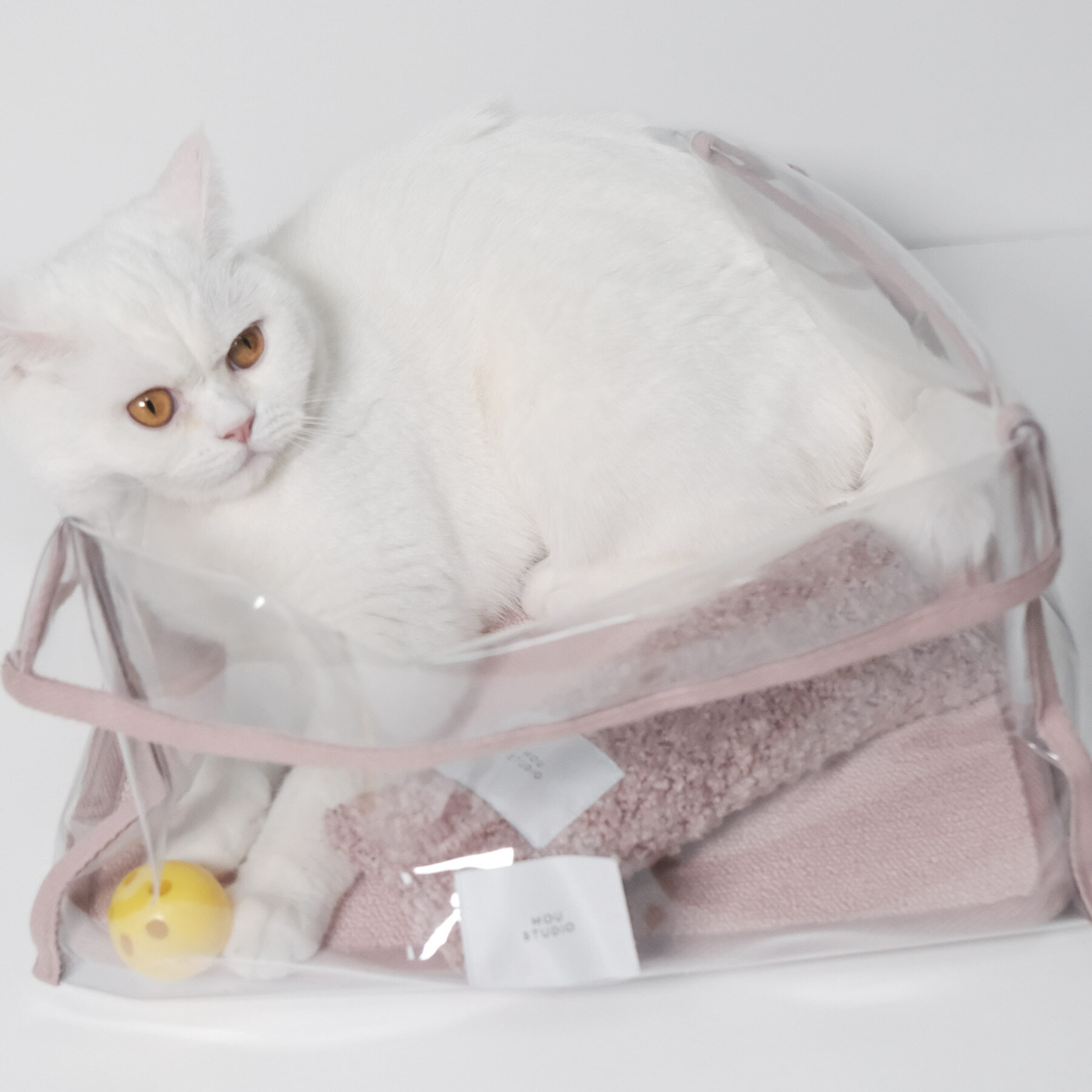 moustudio  | 透明貓窩 抓墊款-粉色